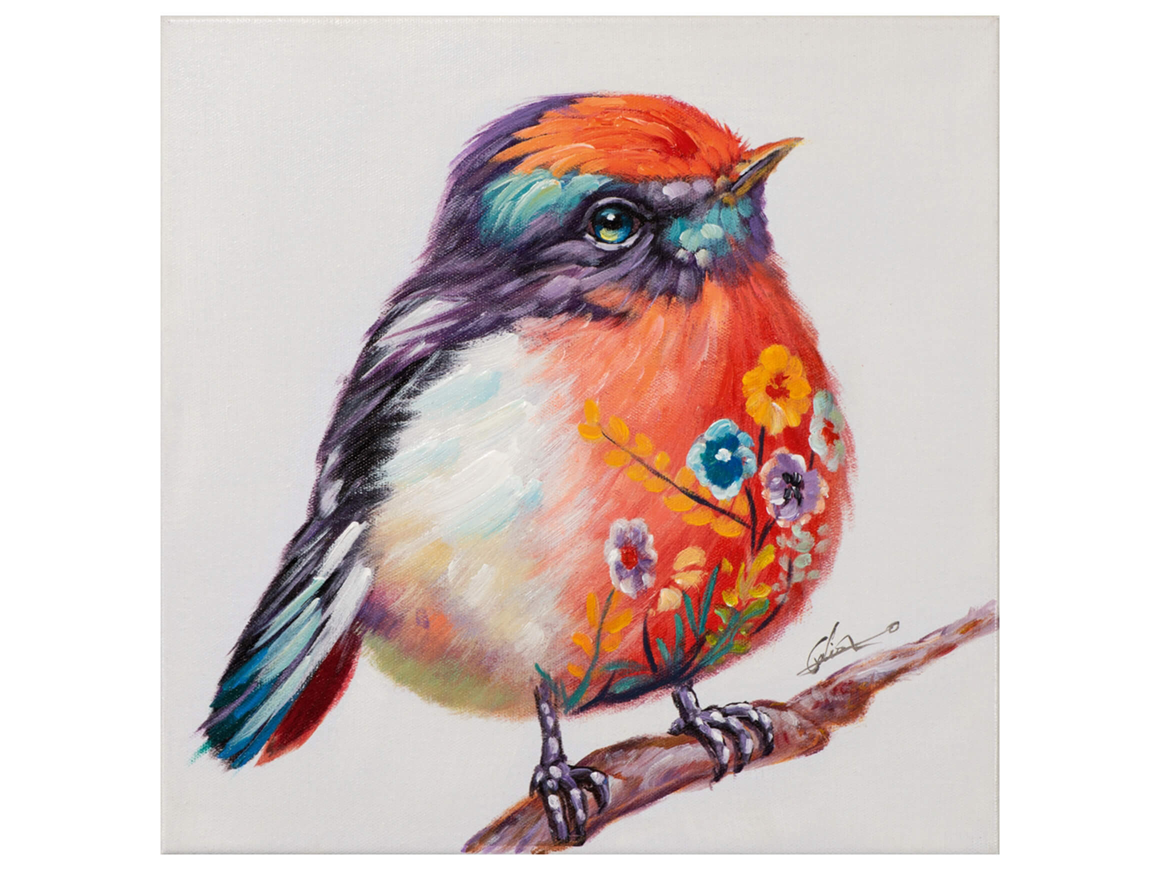 Bild Süsser Vogel image LAND