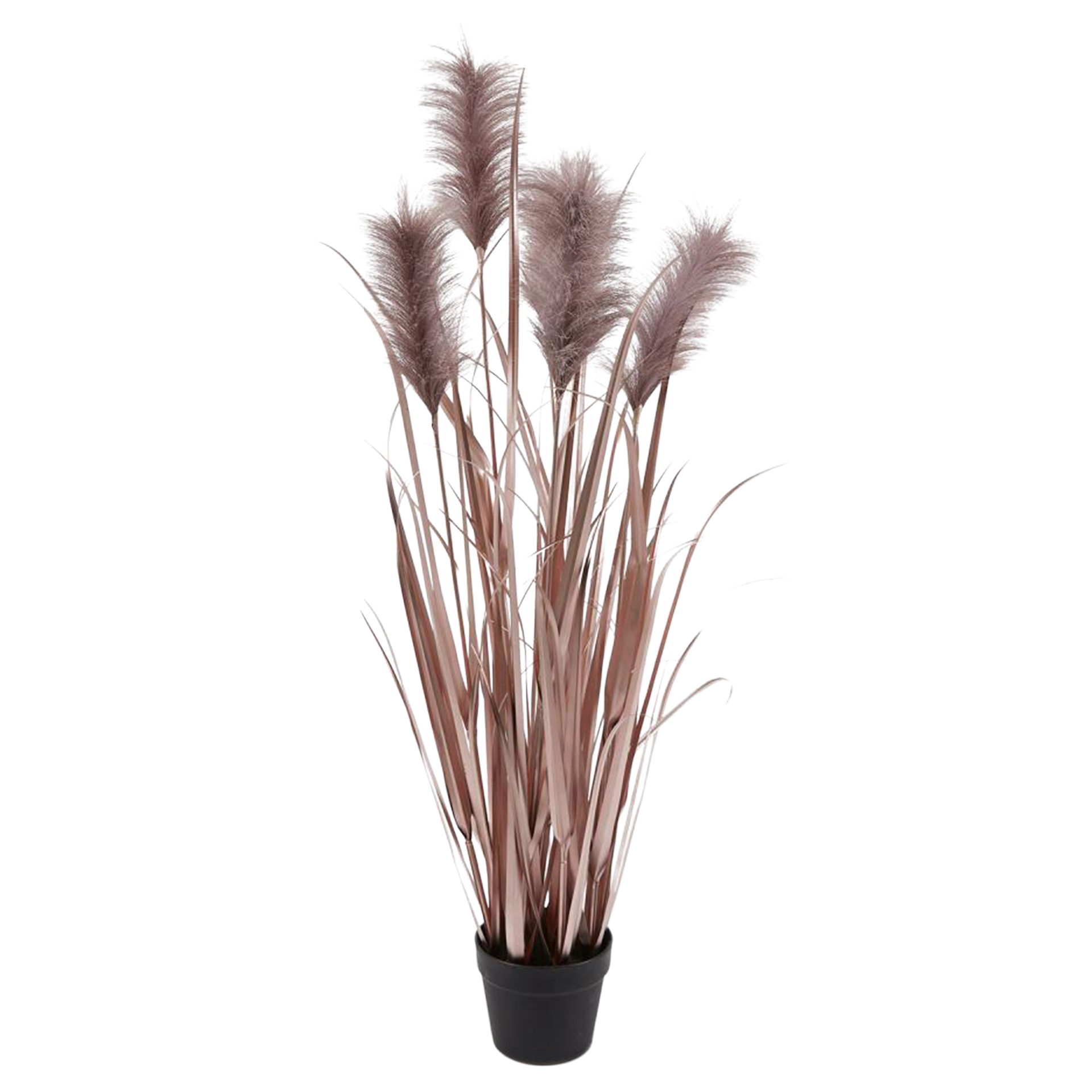 Kunstpflanzen Pampasgrass Lilia H: 115 cm Edg