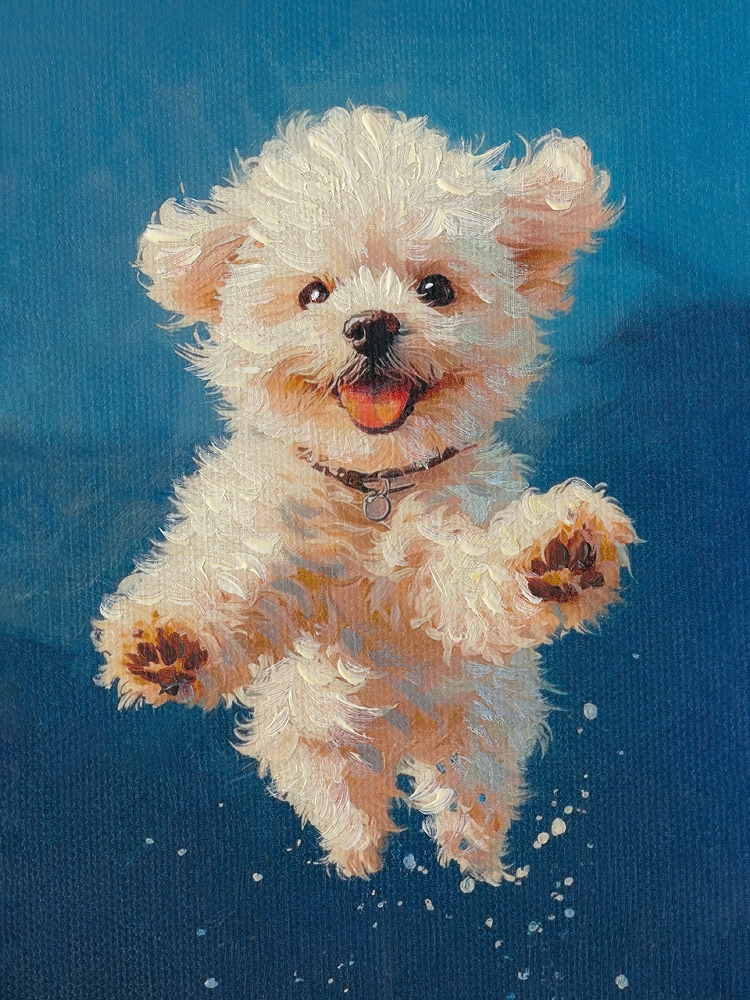 Bild-Jumping Fluffy-image LAND