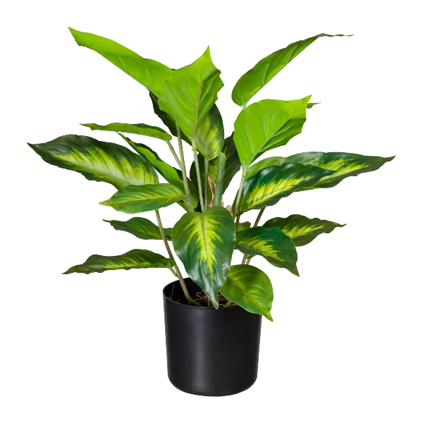 Artificial plants Giftaron H: 45 cm Gasper