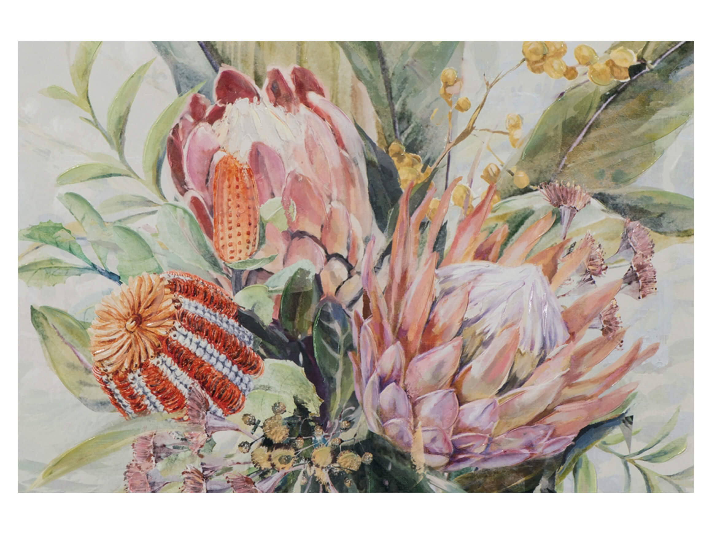 Bild mit Rahmen Rosafarbene Protea-Blüten image LAND