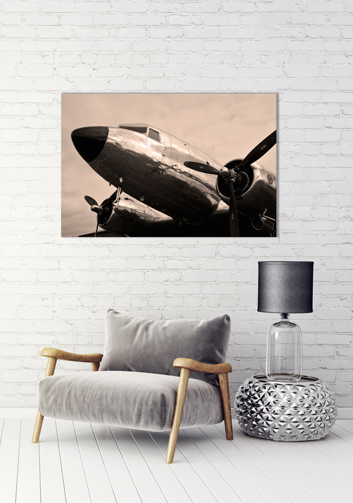 Alubild Flugzeug 1 image LAND