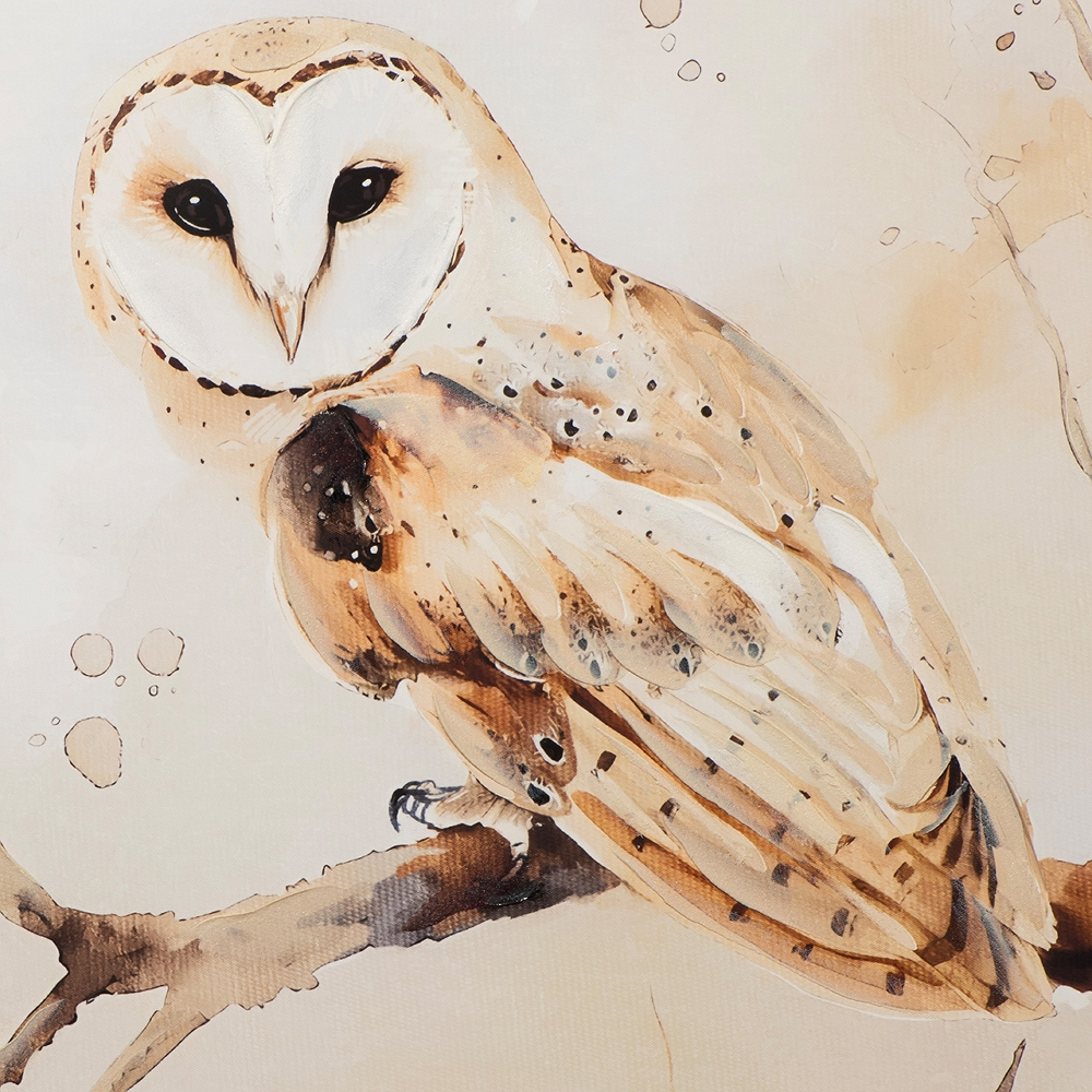 Bild Natural Barn Owl image LAND / Grösse: 80 x 80 cm