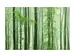 Digitaldruck auf Acrylglas Waldstimmung image LAND / Grösse: 120 x 80 cm