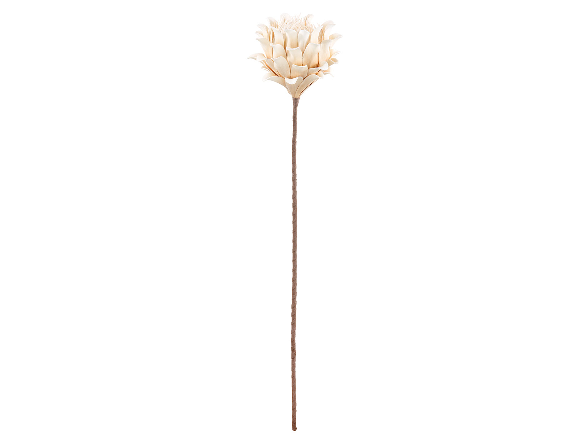 Gilde Kunstblumen Blüte, Creme-Weiss H: 90 cm  | Schubiger Möbel