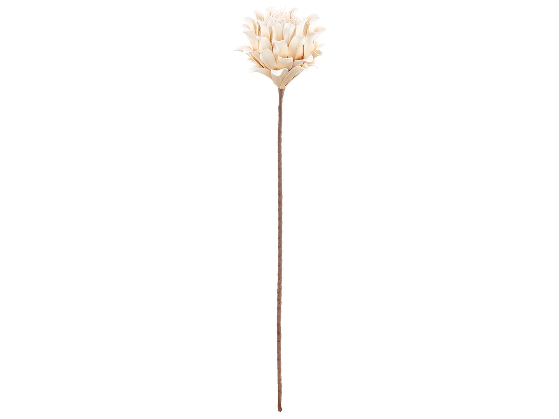 Kunstblumen Blüte, Creme-Weiss H: 90 cm Gilde