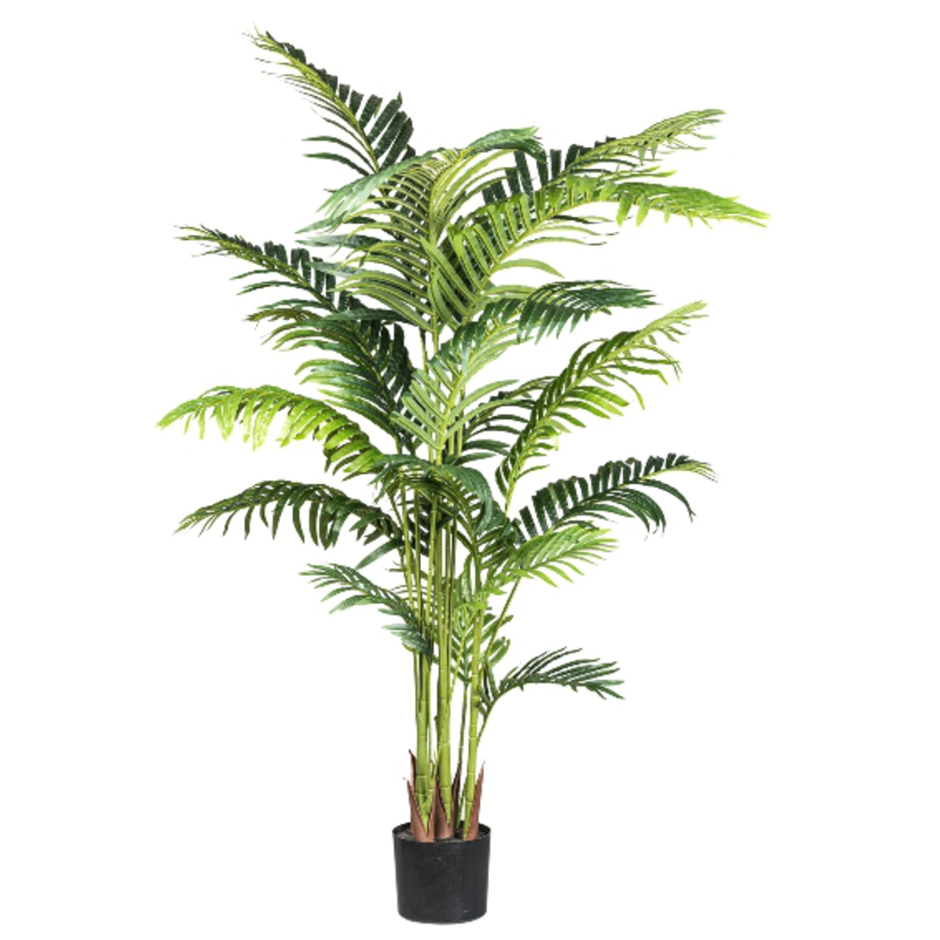 Kunstpflanze Kentiapalme H: 160 cm Gasper / Farbe: