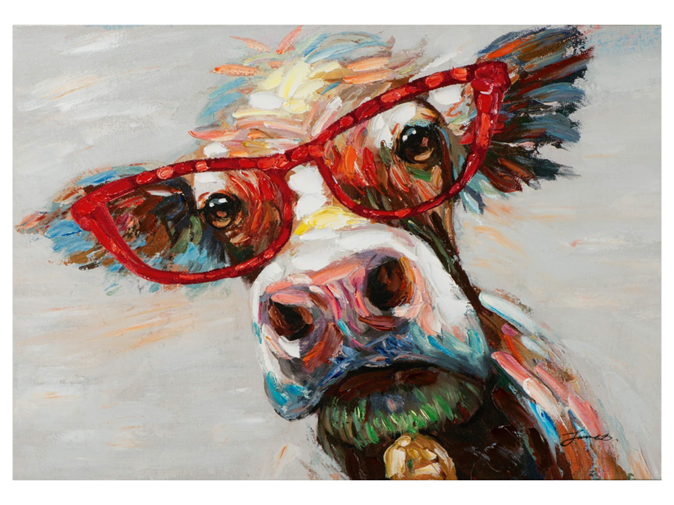 Bild Bunte Kuh mit Brille image LAND