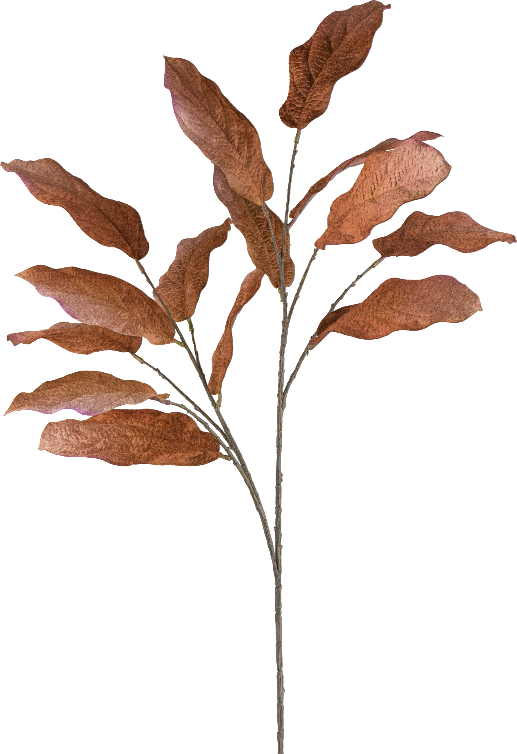 Gasper Kunstblumen Magnolienblatt, Zimt H: 124 cm  | Schubiger Möbel