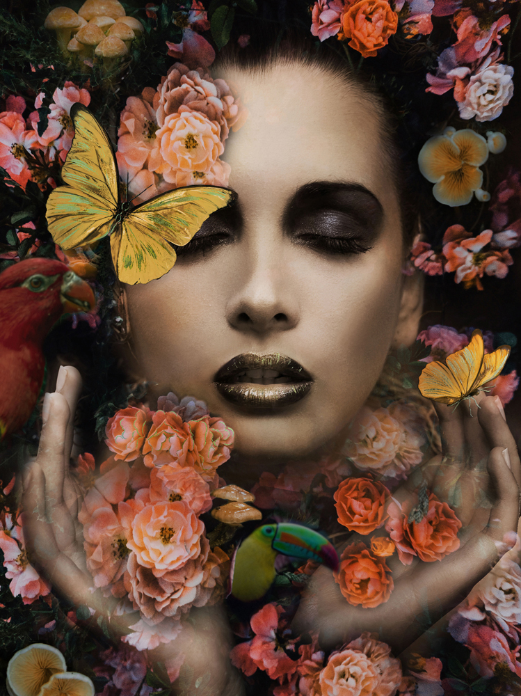 image LAND Glasbild Schöne im Blumenmeer  | Schubiger Möbel