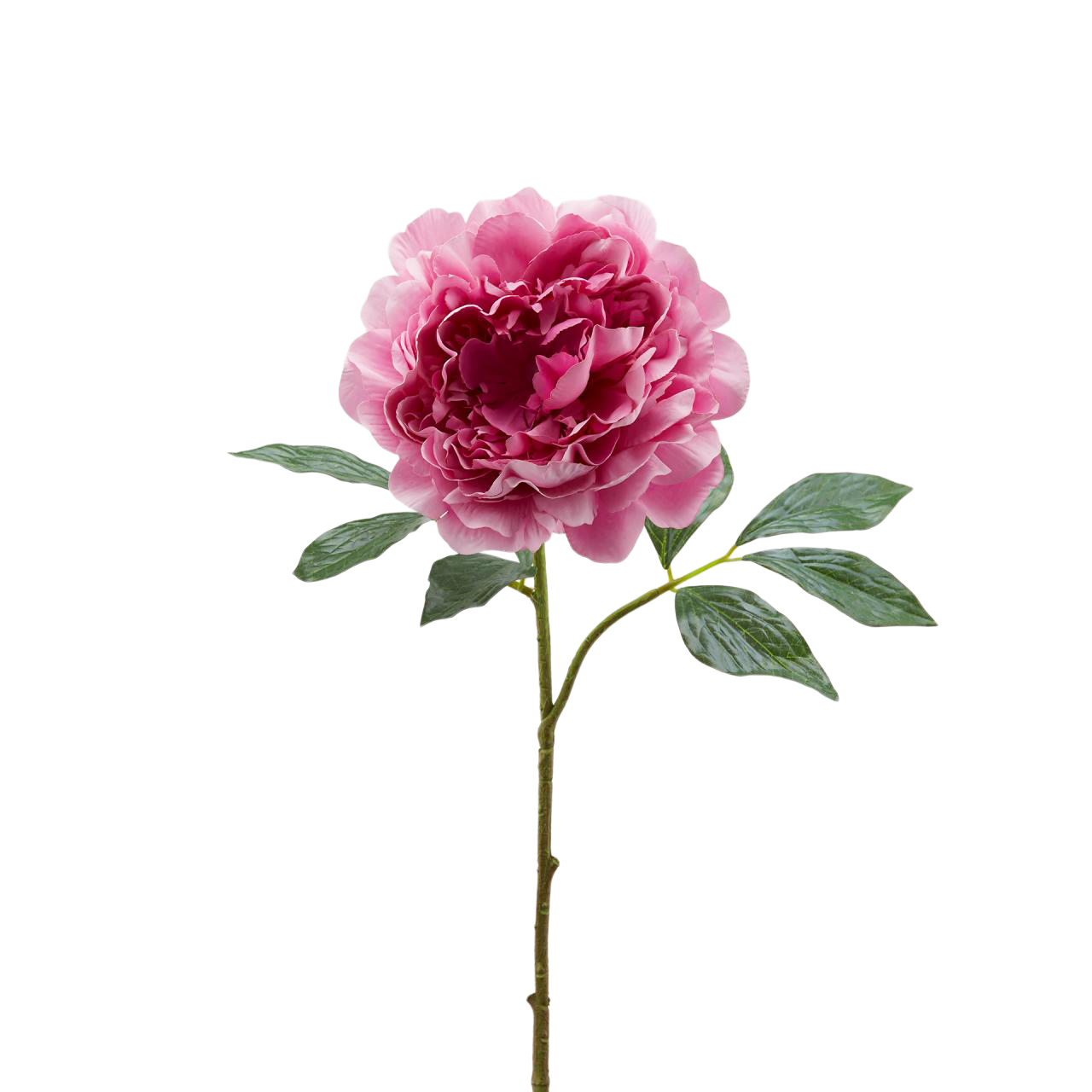 Kunstblume Pfingsrosen Dunkelrosa H: 57 cm Edg