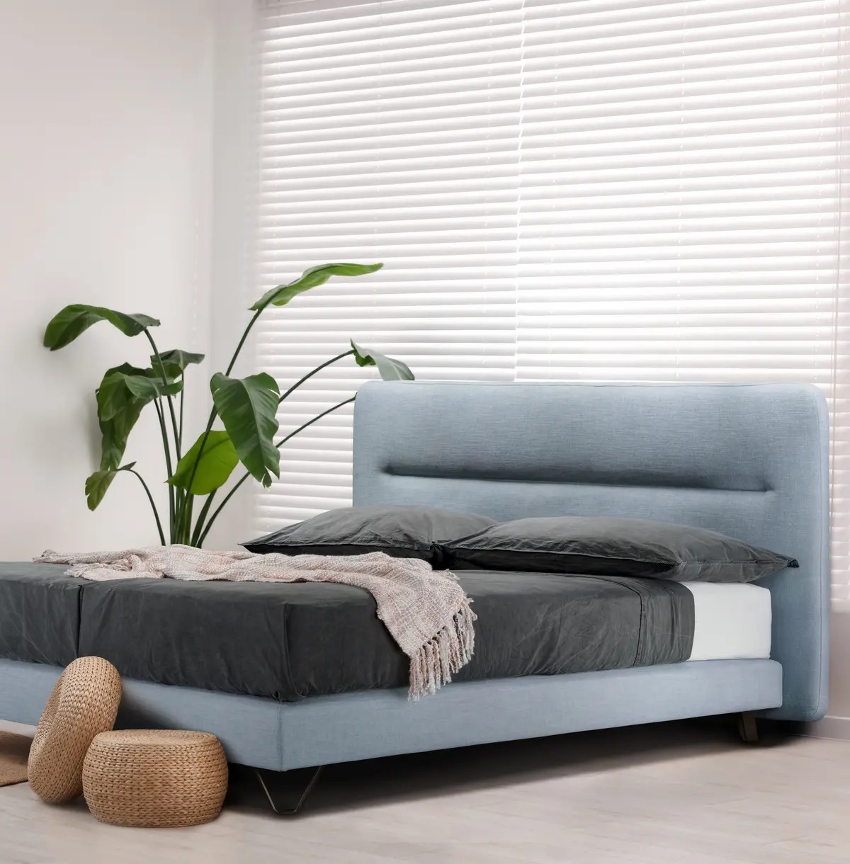 Boxspringbett Eos DOC / Farbe: