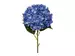 Kunstblume Hortensie Xxl Blau H: 111 cm Gasper / Farbe: Blau