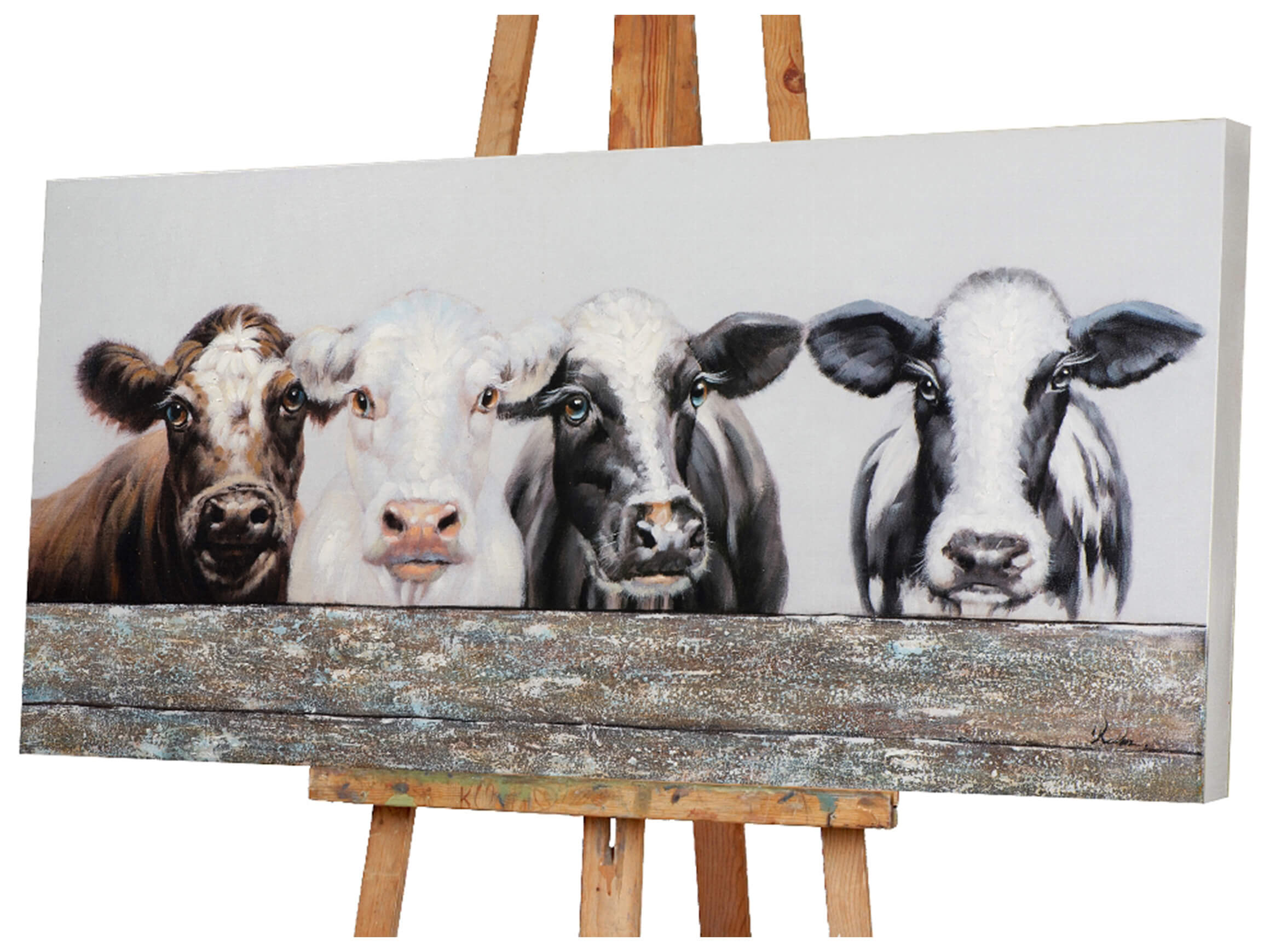 Bild Kühe Hinter Einem Holzzaun image LAND