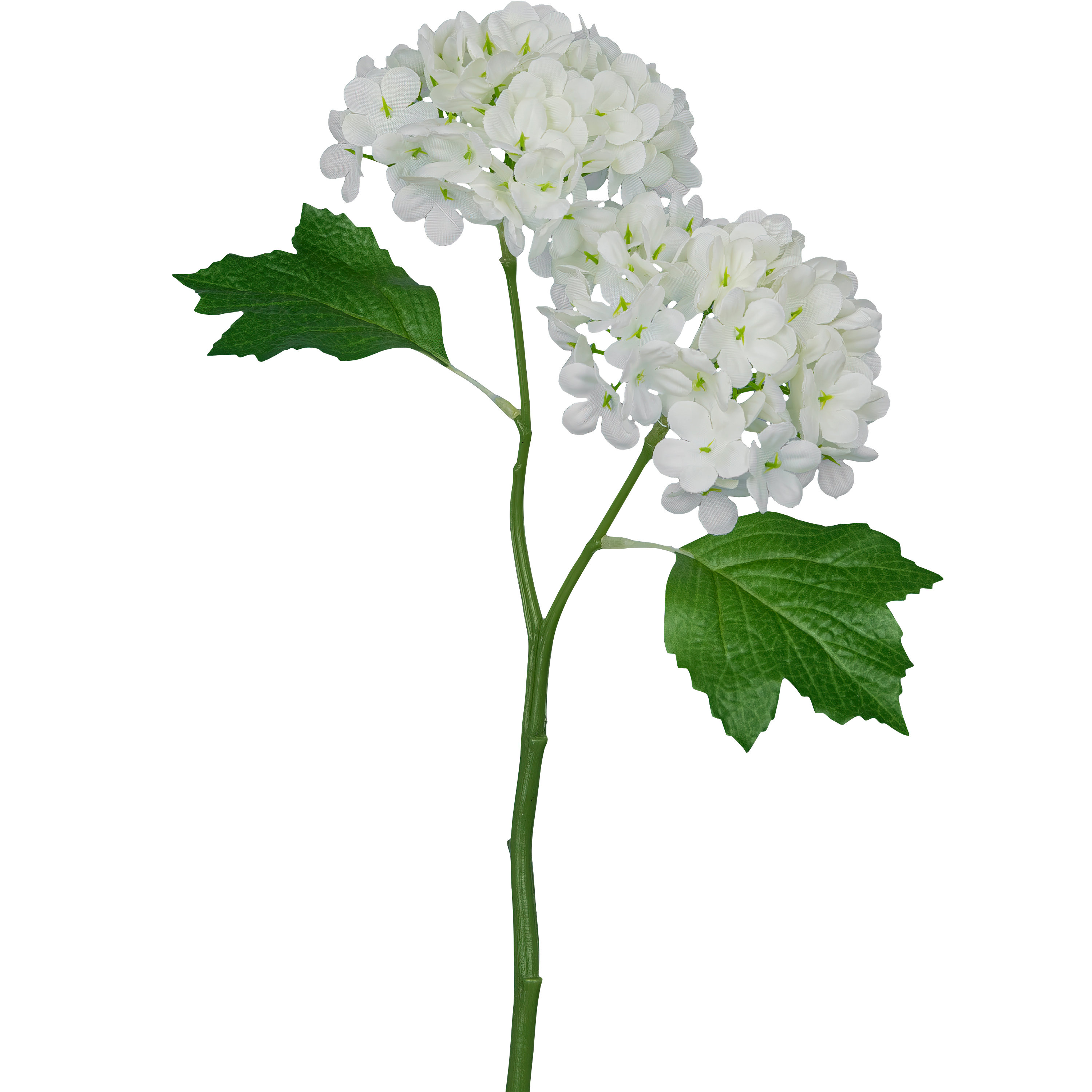 Gasper Kunstblume Schneeballzweig, Weiss  | Schubiger Möbel