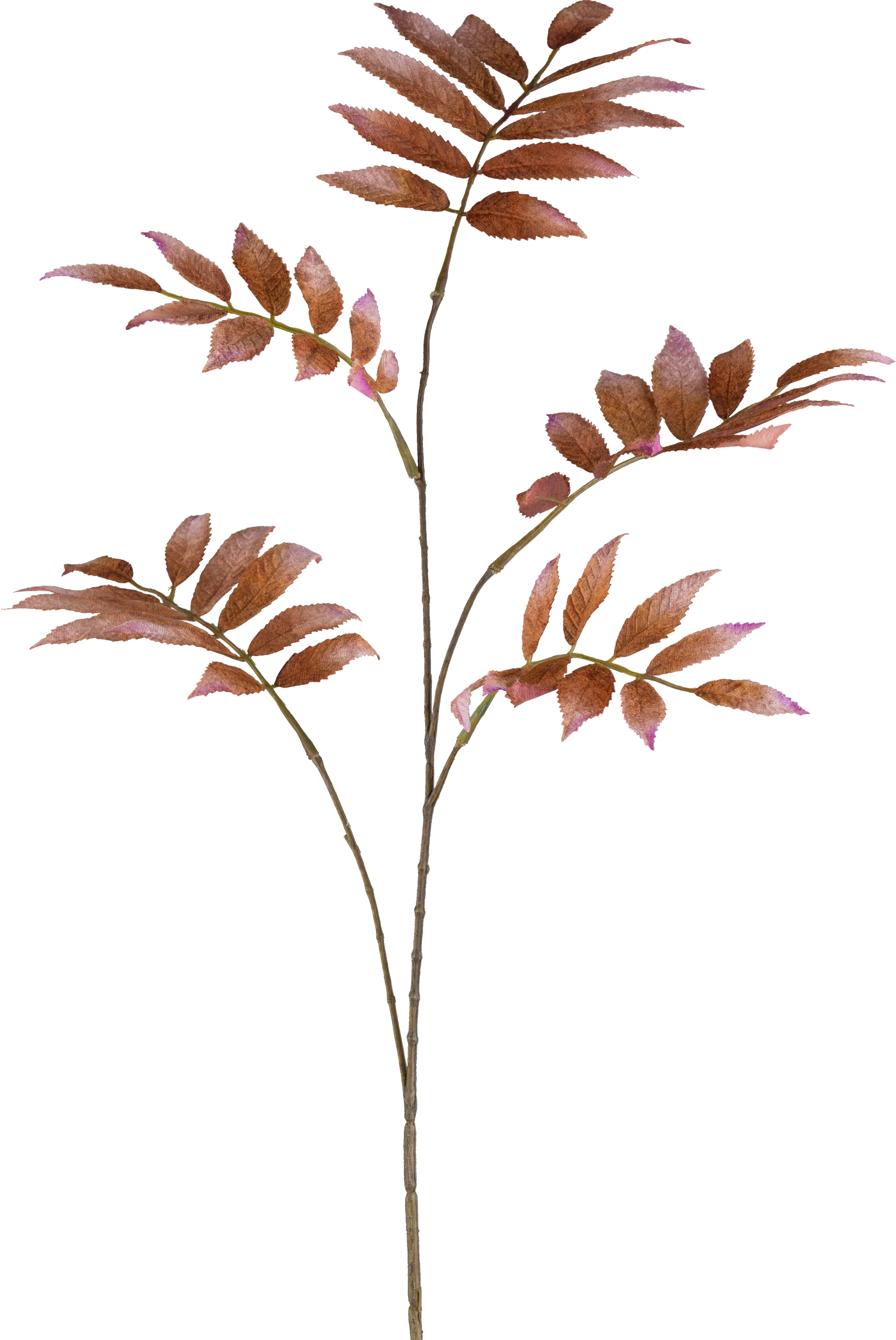 Kunstblume Sorbuszweig, Weiss von Roomio