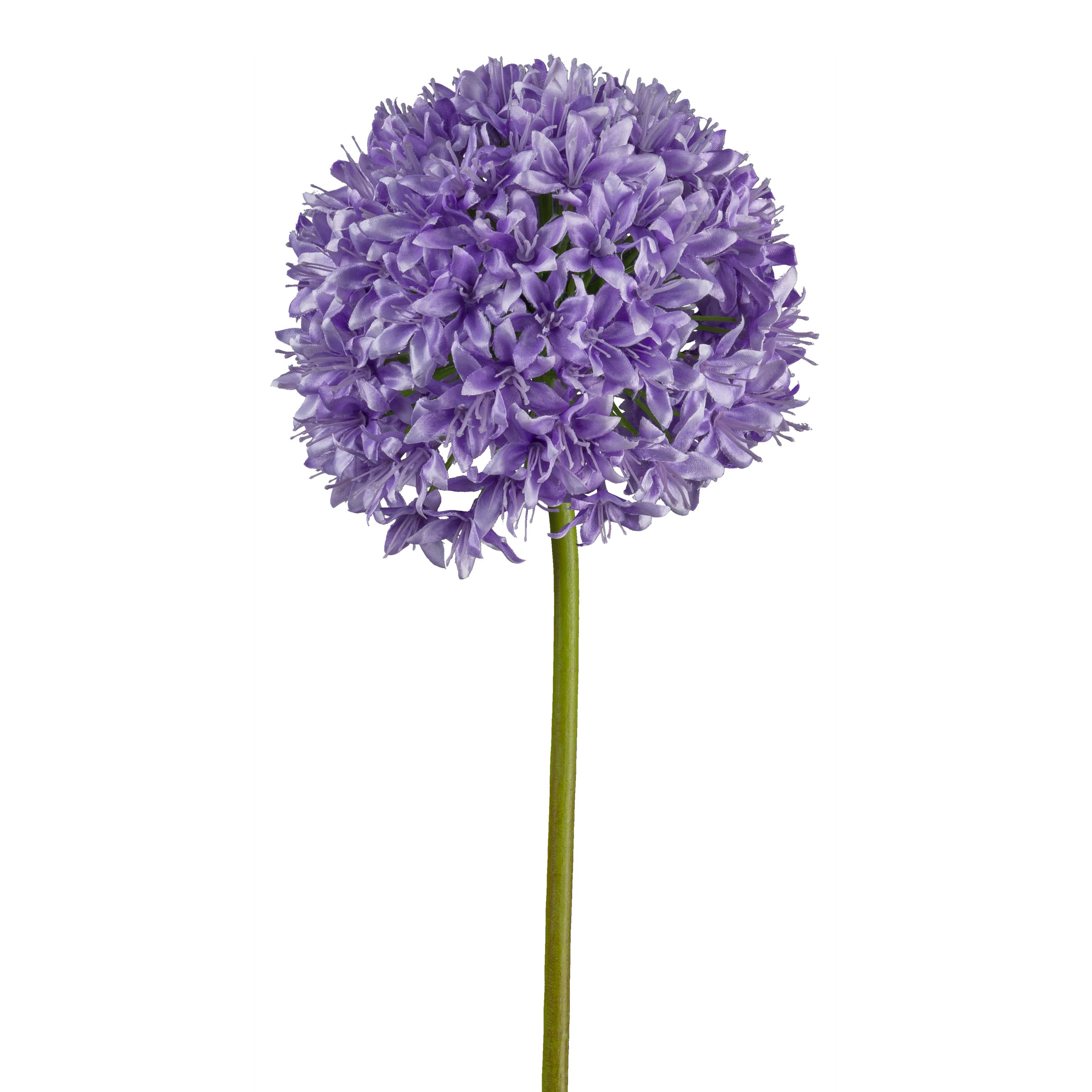 Gasper Kunstblume Allium, Lila  | Schubiger Möbel