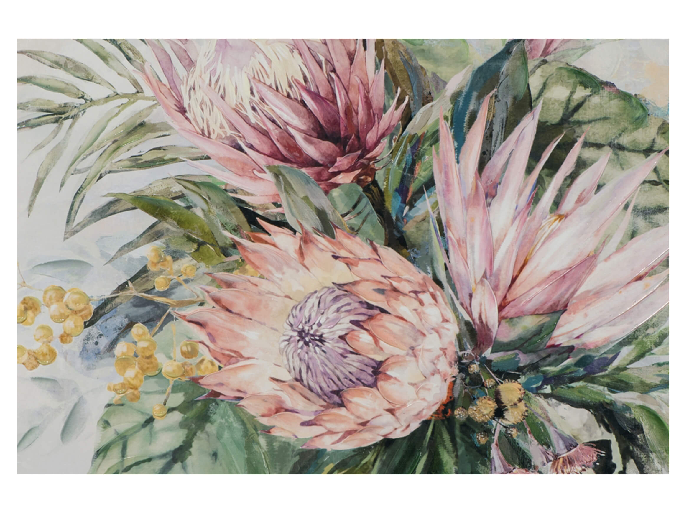 Bild mit Rahmen Rosafarbene Protea-Blüten image LAND