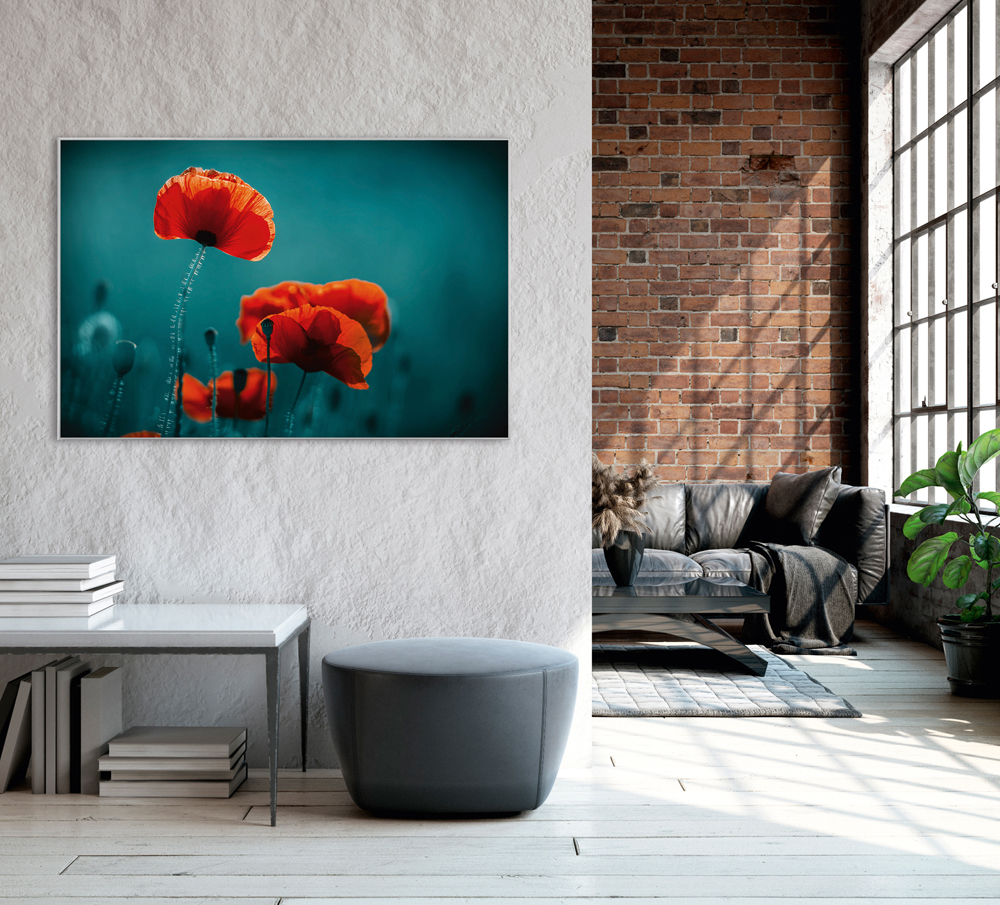 Bild mit Rahmen-Mohnblumen 5-image LAND
