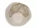 Schale Schmetterling, Keramik H: 9 cm Kersten / Farbe: Grau Weiss