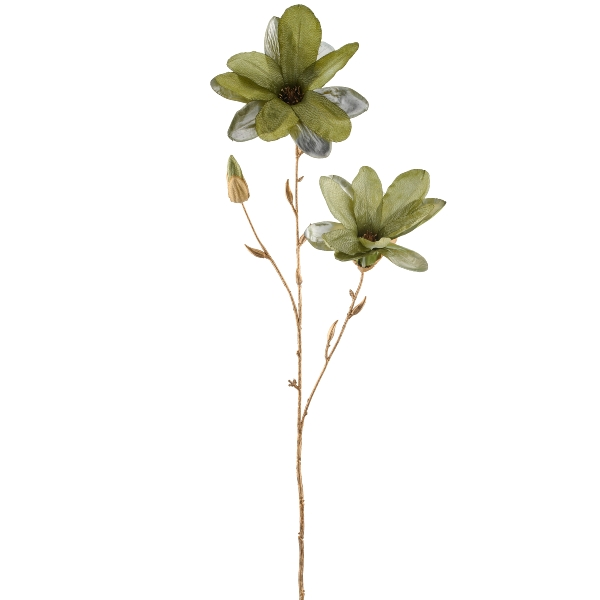 Gasper Kunstblumen Magnolie, Grün  | Schubiger Möbel