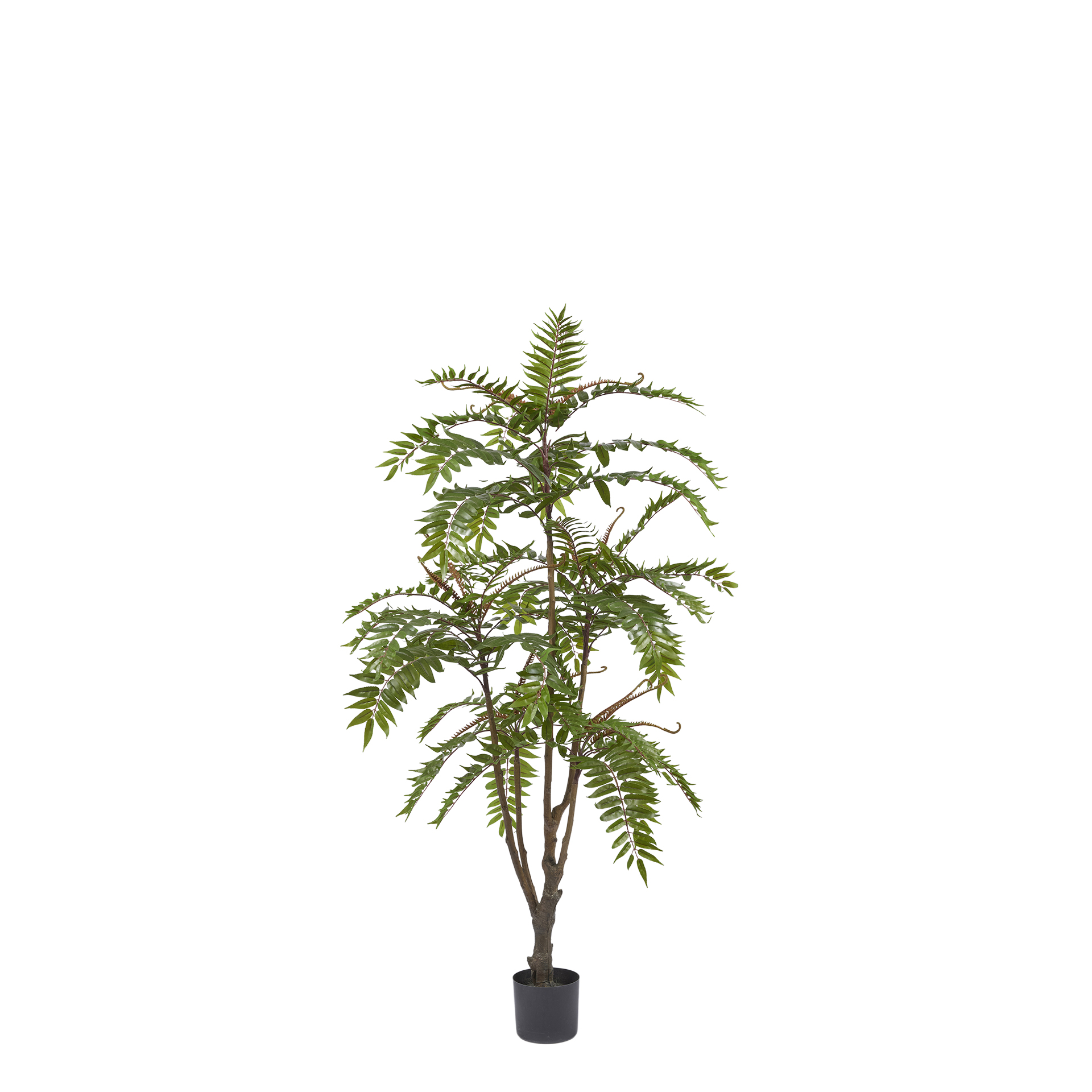 Kunstpflanze Götterbaum H: 150 cm Edg