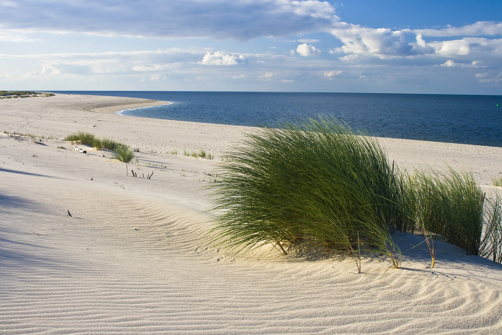 Alubild-Strand mit Dünengras-image LAND