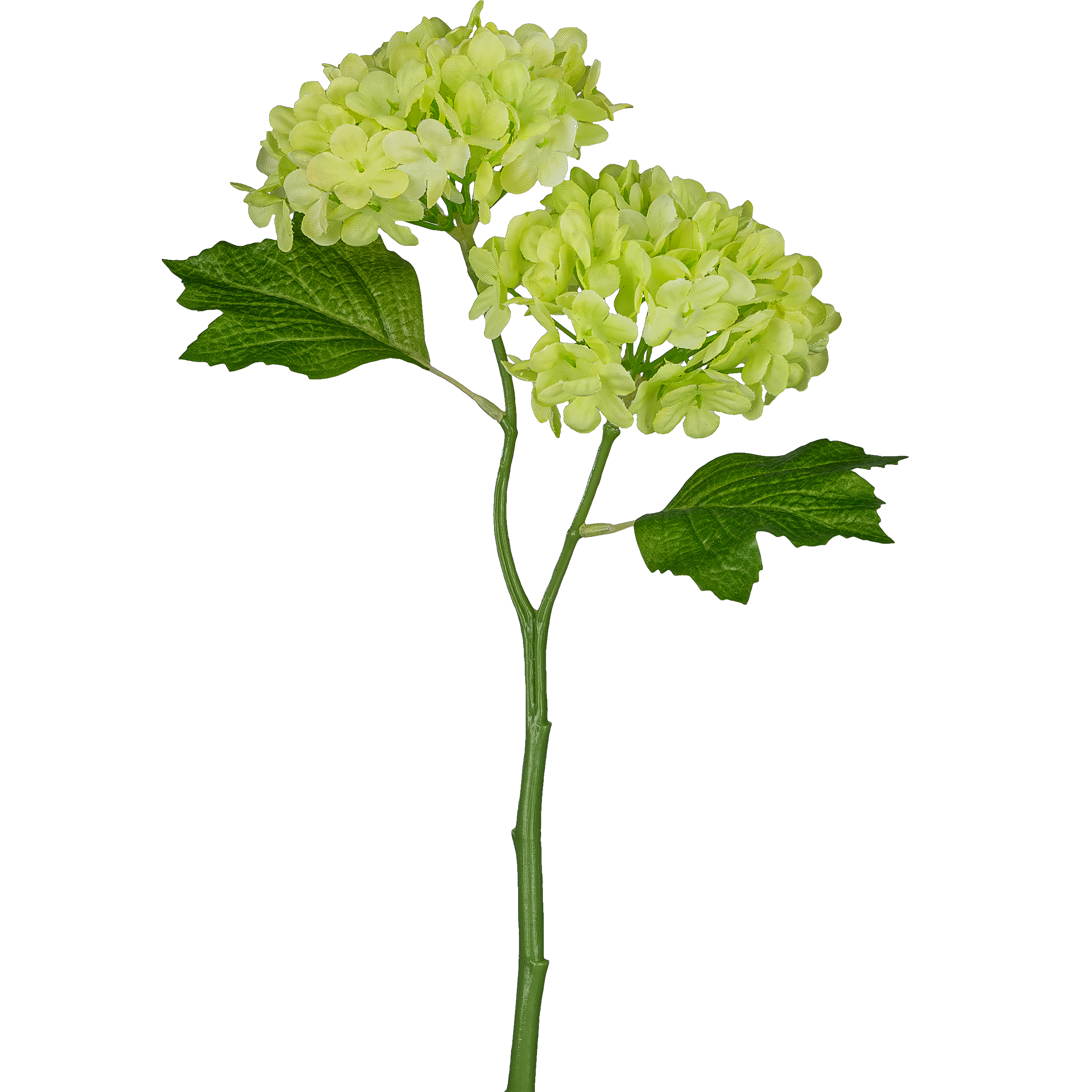 Kunstblume Schneeballzweig, Grün Gasper