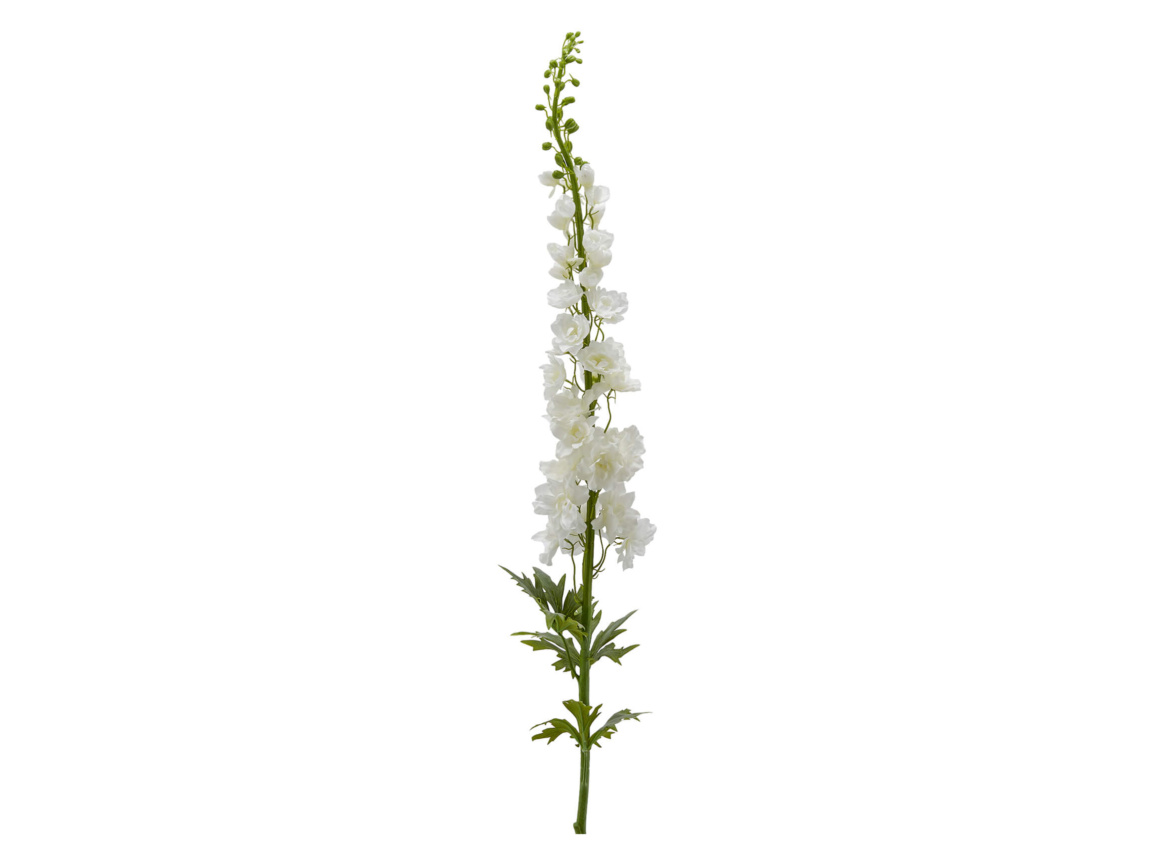 Edg Kunstblumen Rittersporn Weiss H: 130 cm  | Schubiger Möbel