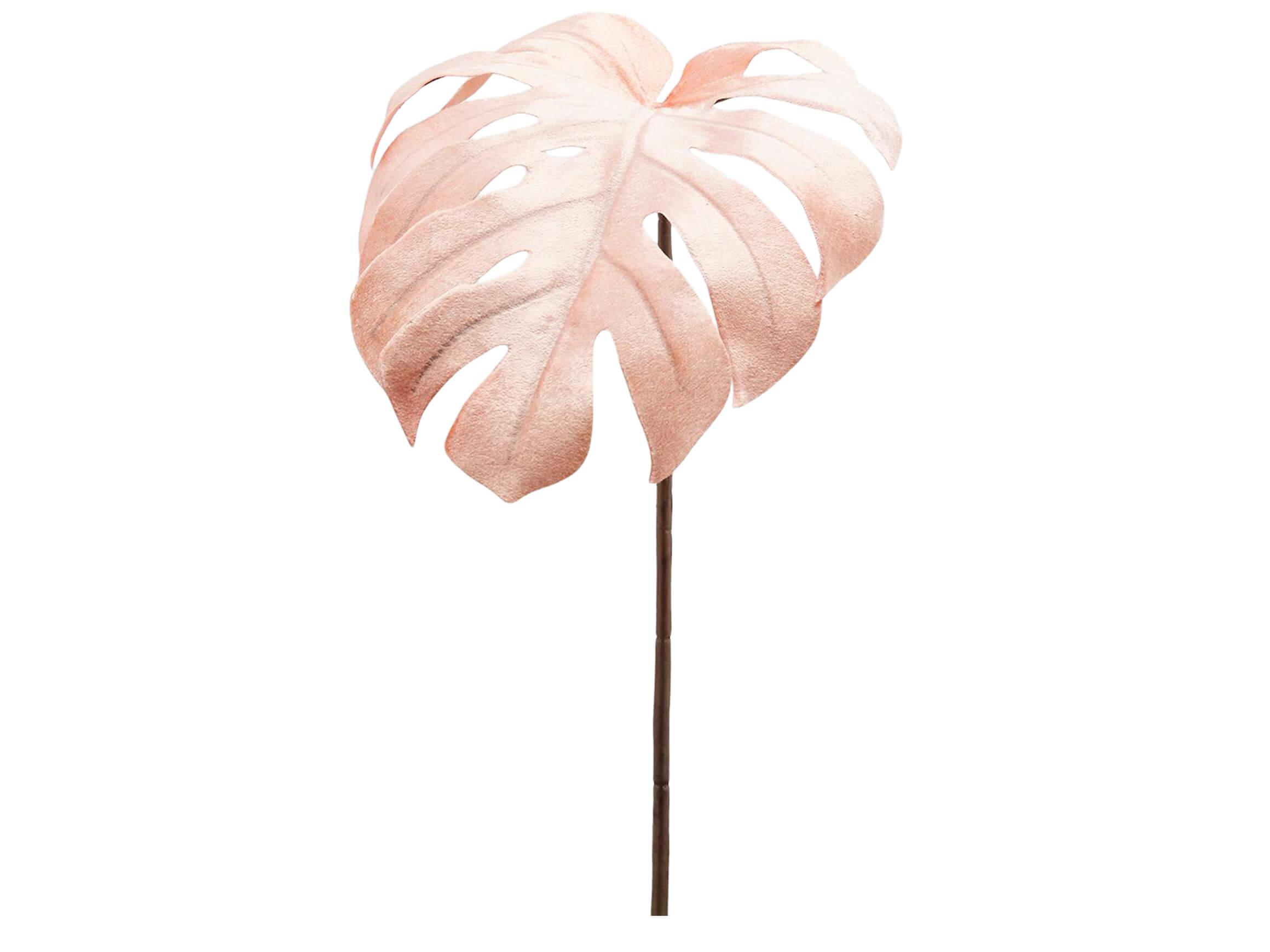 Edg Kunstblume Monstera Blatt Pfirsich H: 74 cm  | Schubiger Möbel