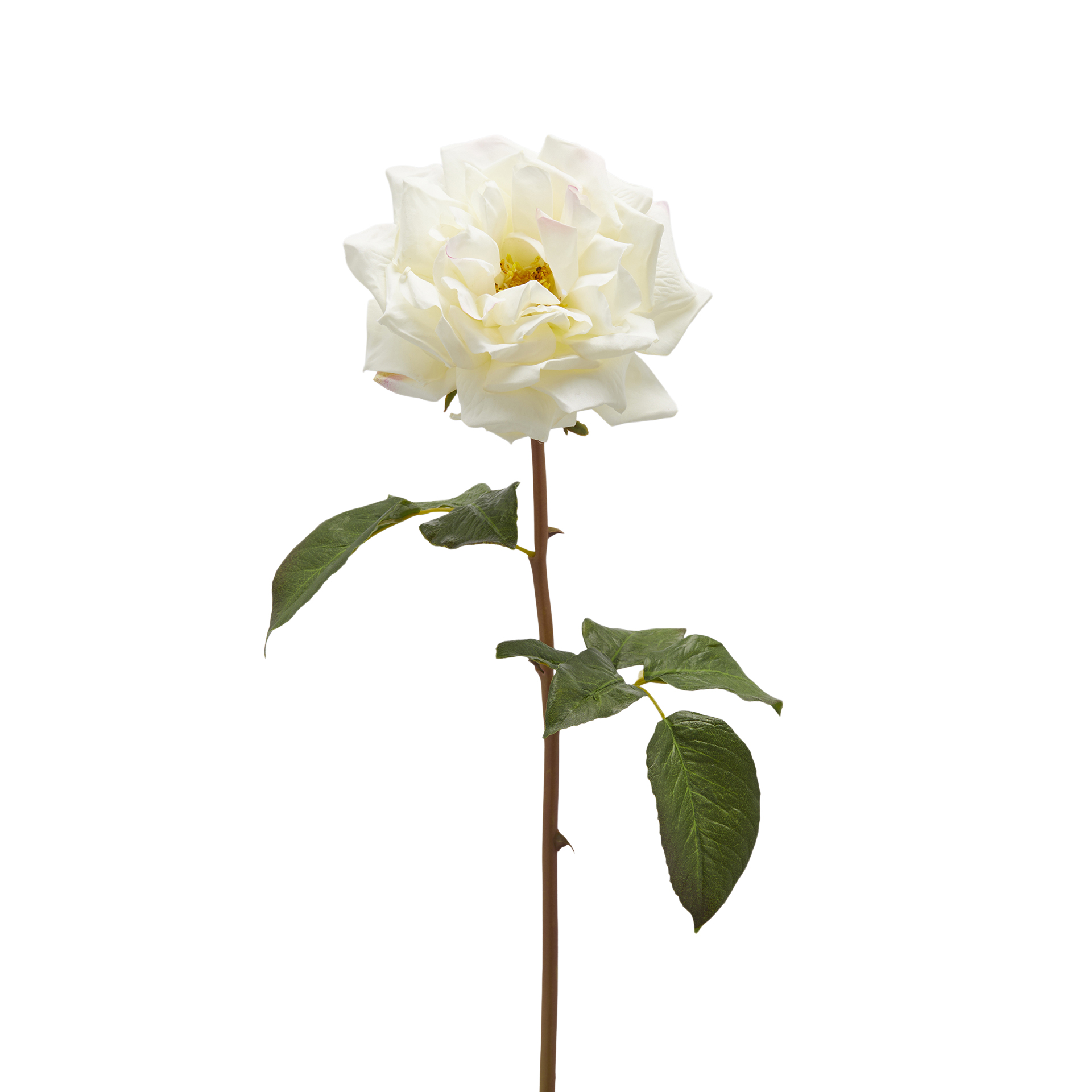 Edg Kunstblume Rose Weiss H: 50 cm Weiss | Schubiger Möbel