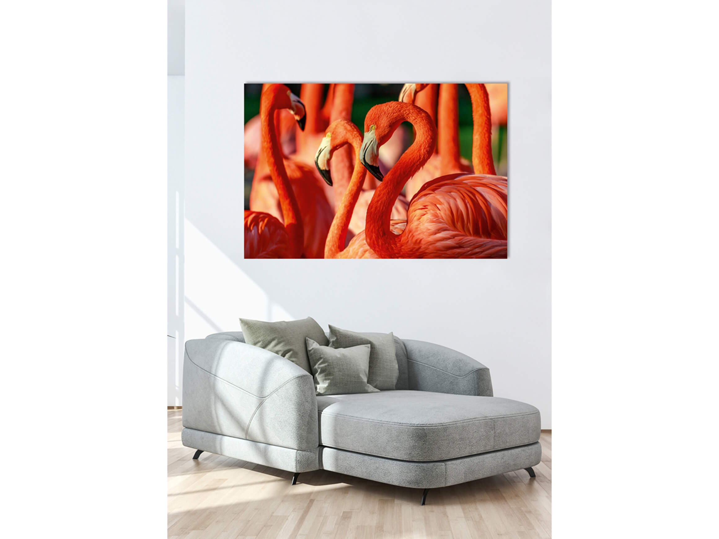 Digitaldruck auf Acrylglas Flamingos image LAND / Grösse: 120 x 80 cm