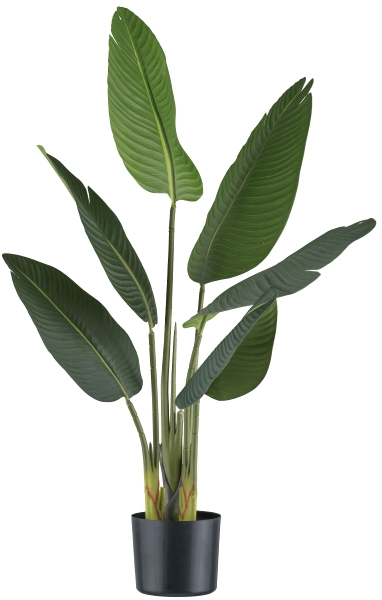 Gasper Kunstpflanzen Strelitzia / H: 90 cm  | Schubiger Möbel