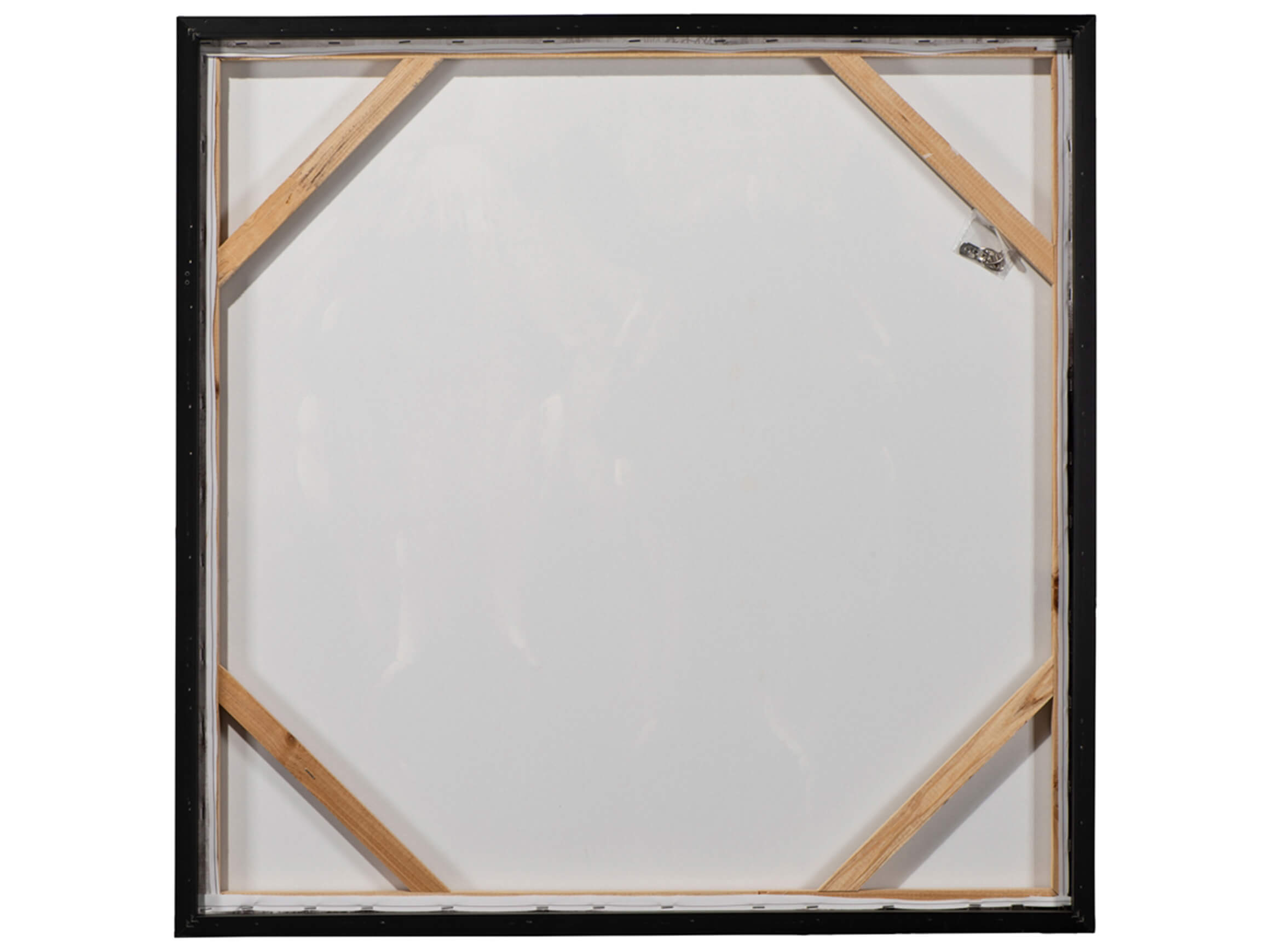 Bild mit Rahmen New Yorker Hunde-Mafiosi image LAND