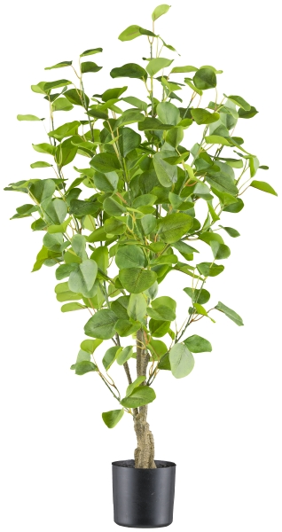 Gasper Kunstpflanzen Eukalyptus im Kunststofftopf H: 90 cm  | Schubiger Möbel