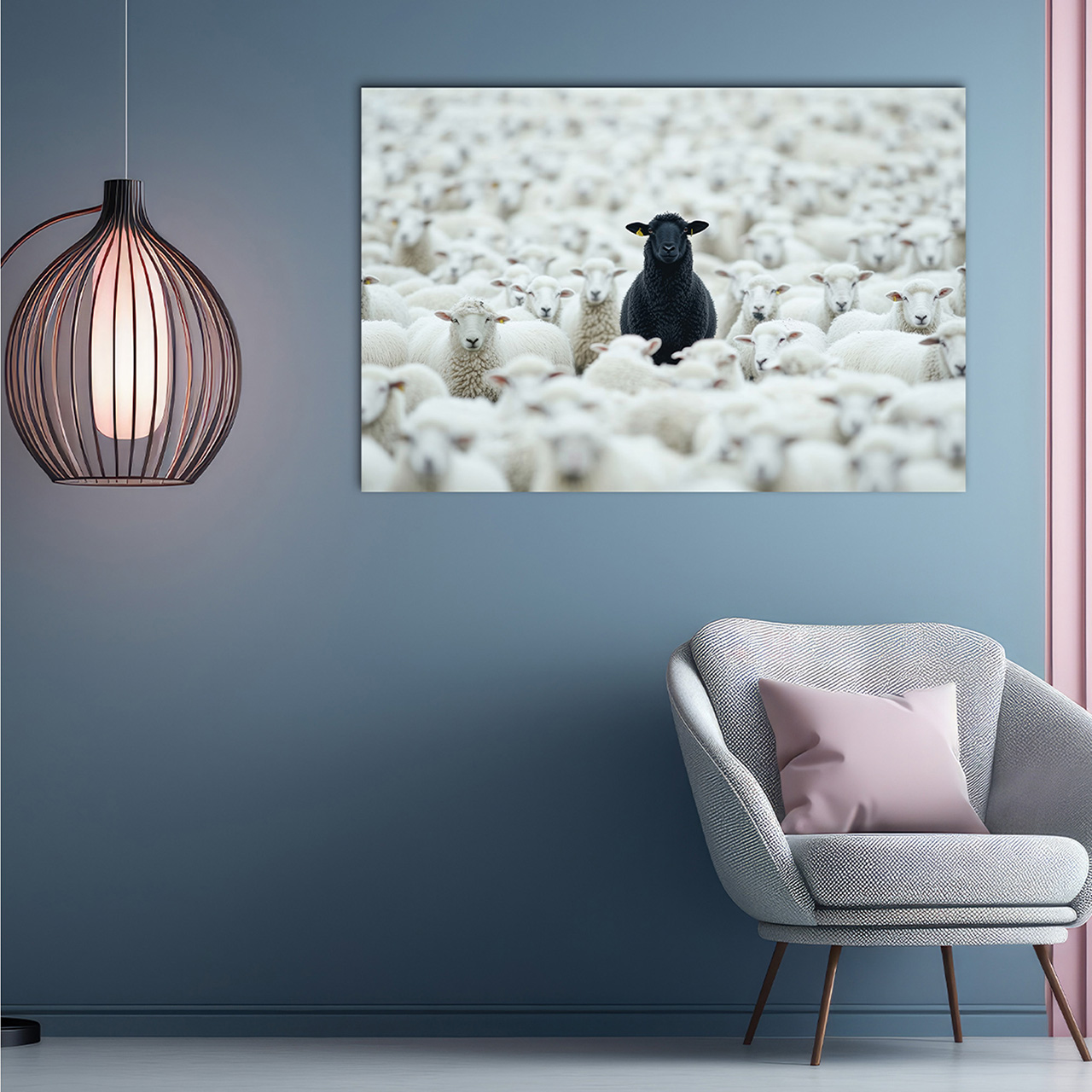 Canvas-Black Sheep-image LAND