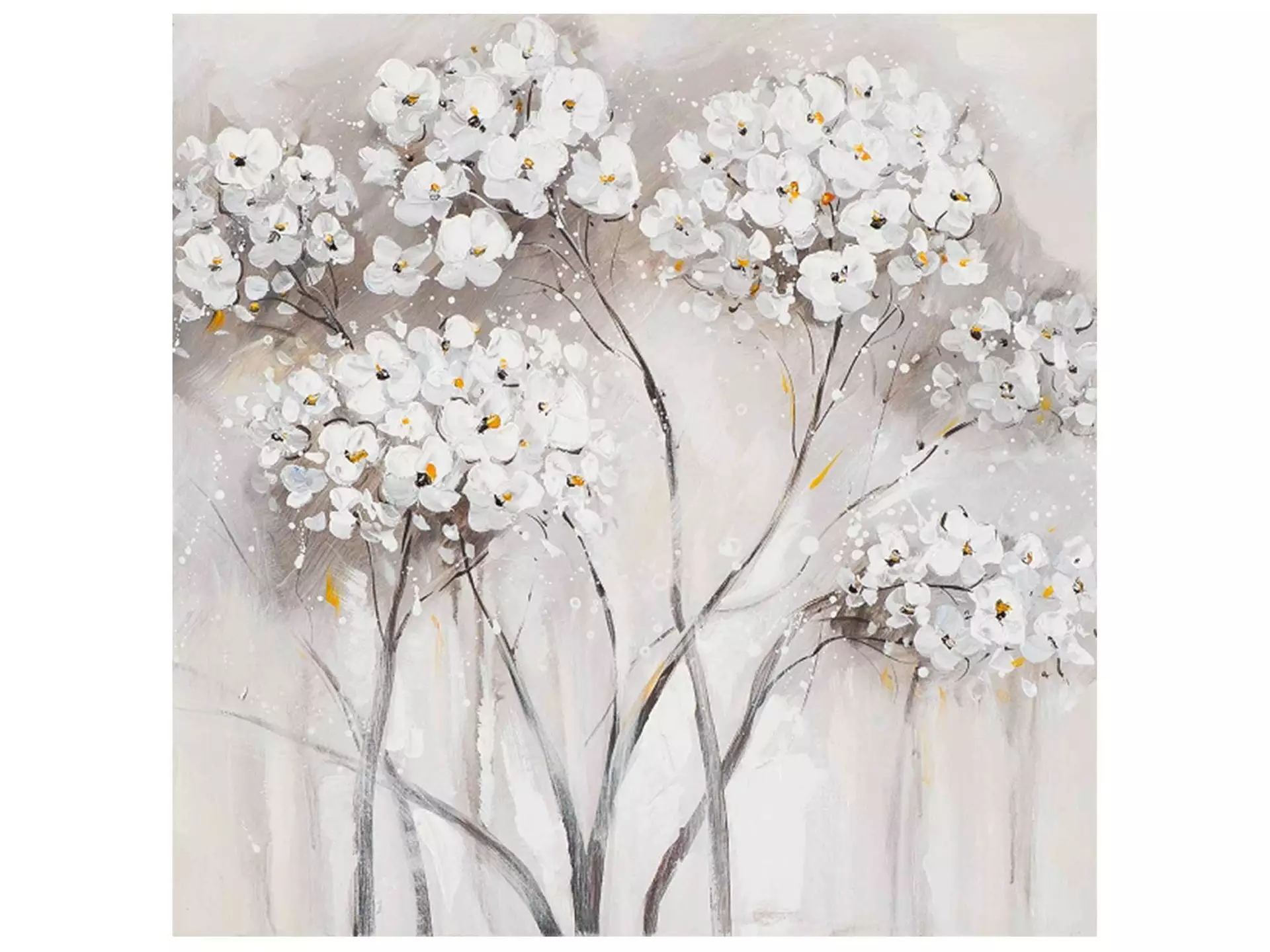 Bild Weisse Blüten 40x40 cm image LAND
