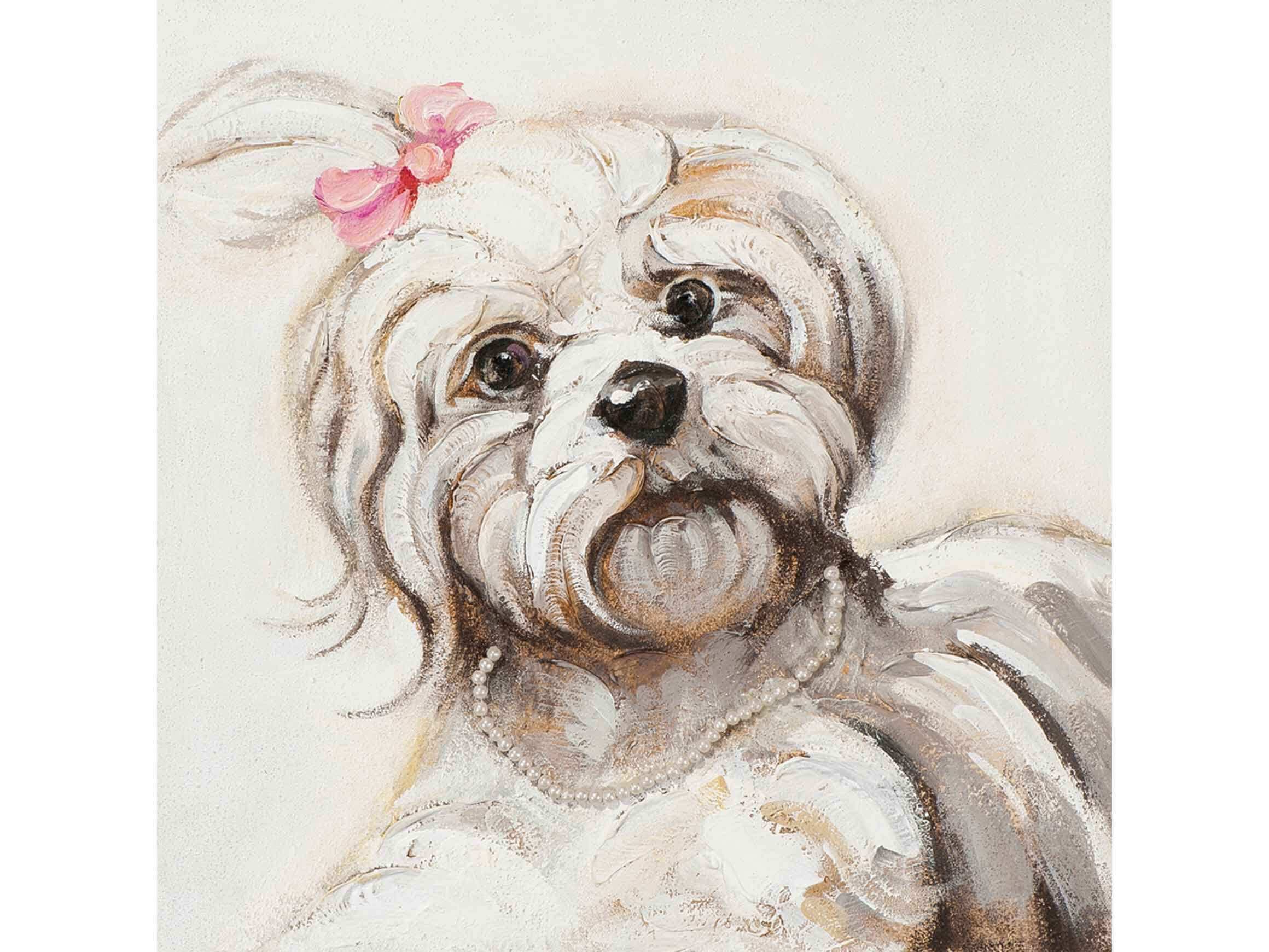 Chien avec ruban