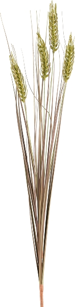 Kunstblume Weizen mit Gras, Moos H: 79 cm Gasper