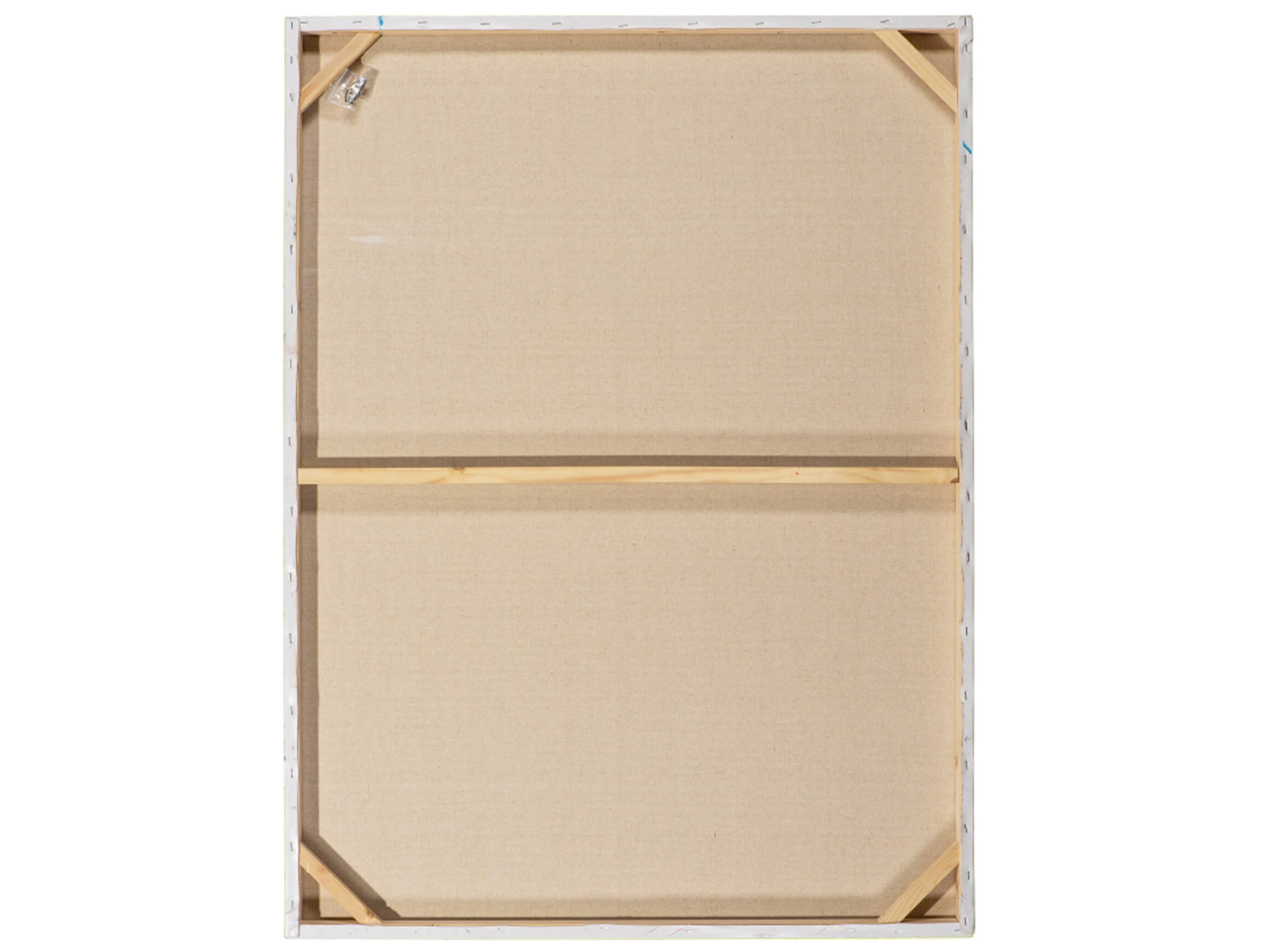 Bild Paradiesvogelblume Strelitzia image LAND