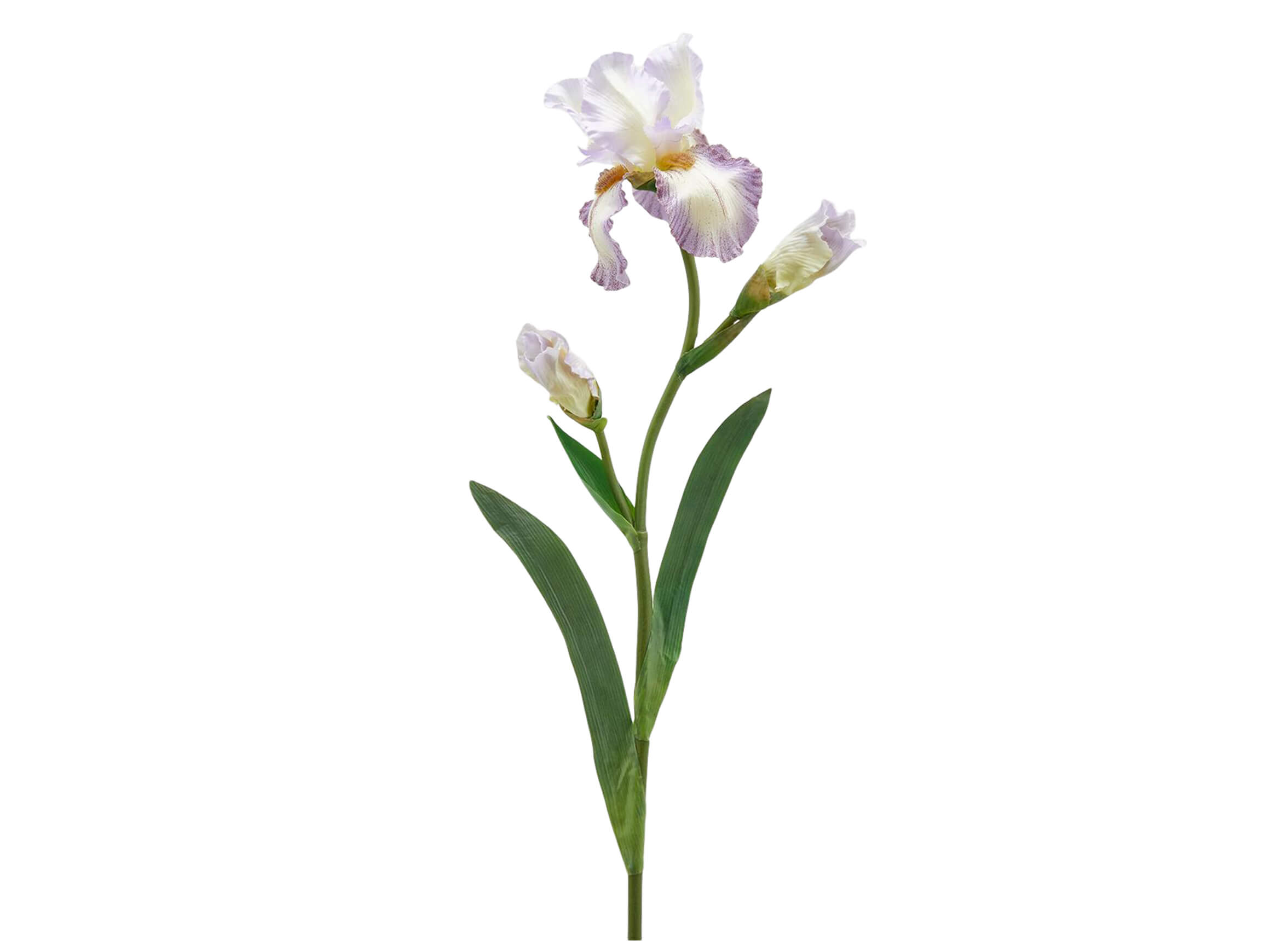 Edg Kunstblume Schwertlilie Mauve H: 80 cm  | Schubiger Möbel