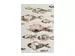 Bild Fischschwarm in Rosa image LAND / Grösse: 120 x 80 cm