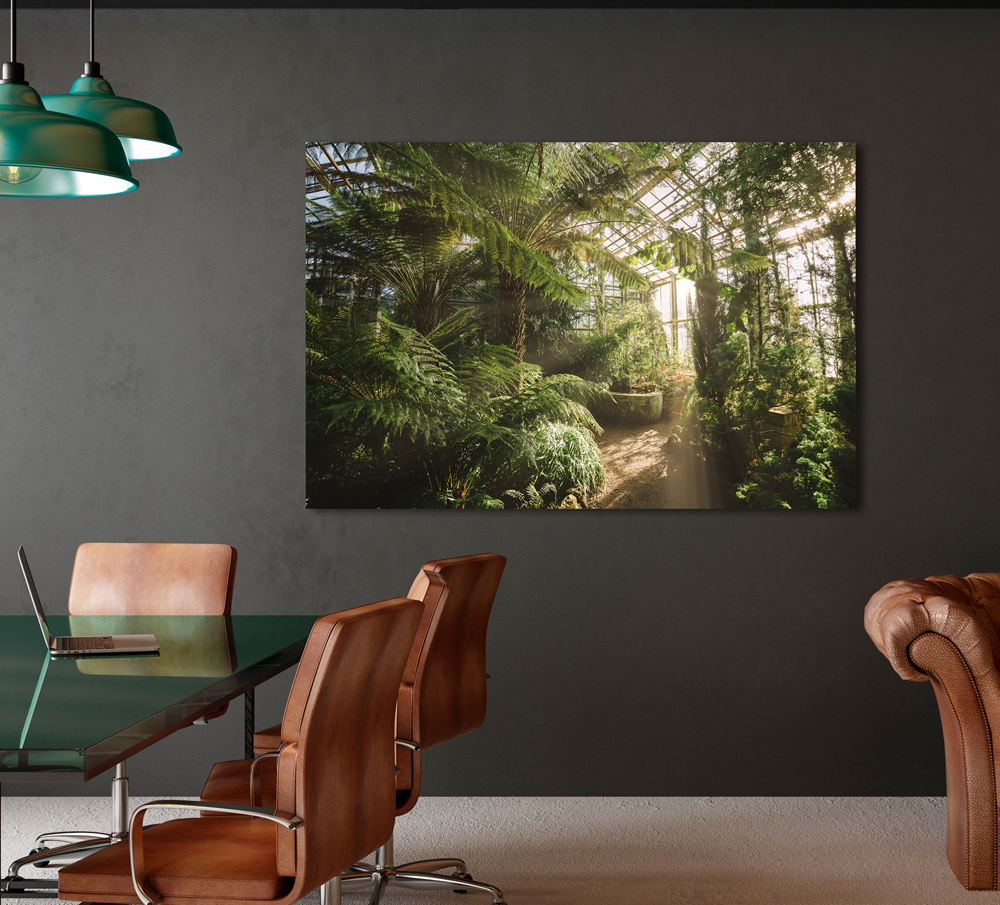 Alubild-Gewächshaus mit Lichtreflexen-image LAND