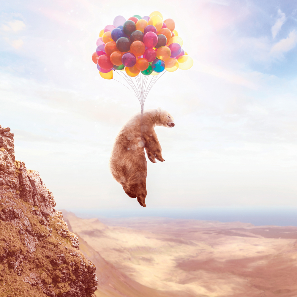 Alubild Fliegender Bär an Luftballons image LAND