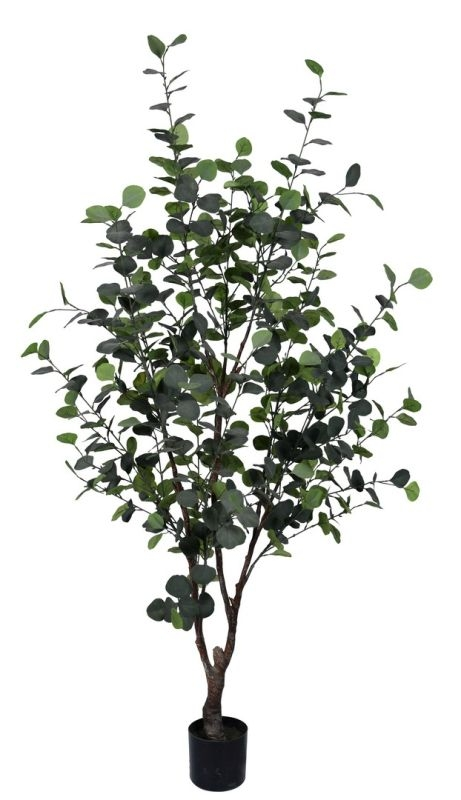 Kunstpflanzen Eukaliptus im Kunststofftopf H: 180 cm Bizzotto / Farbe: Grün