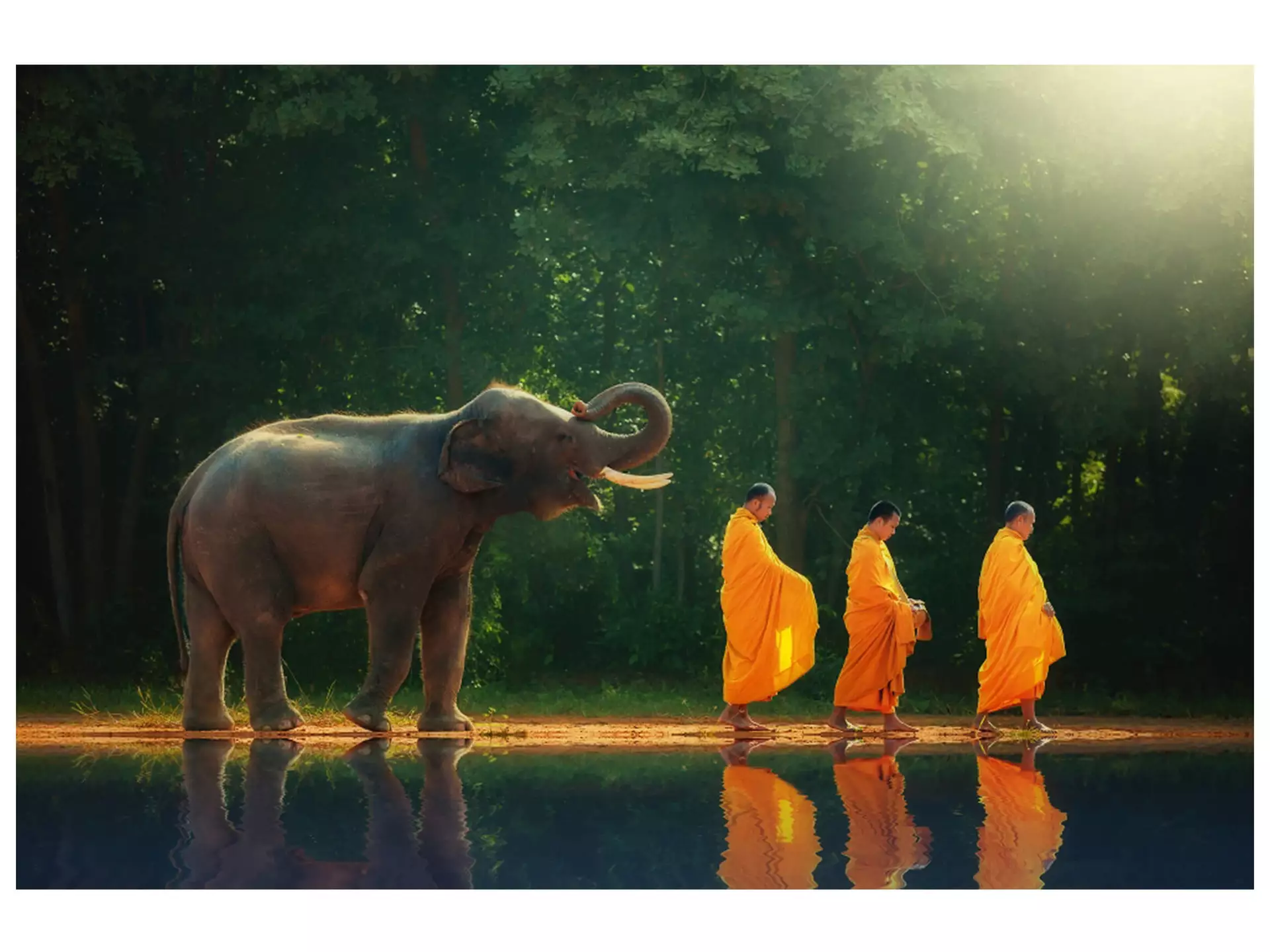 Digitaldruck auf Glas Mönchwanderung mit Elefant image LAND
