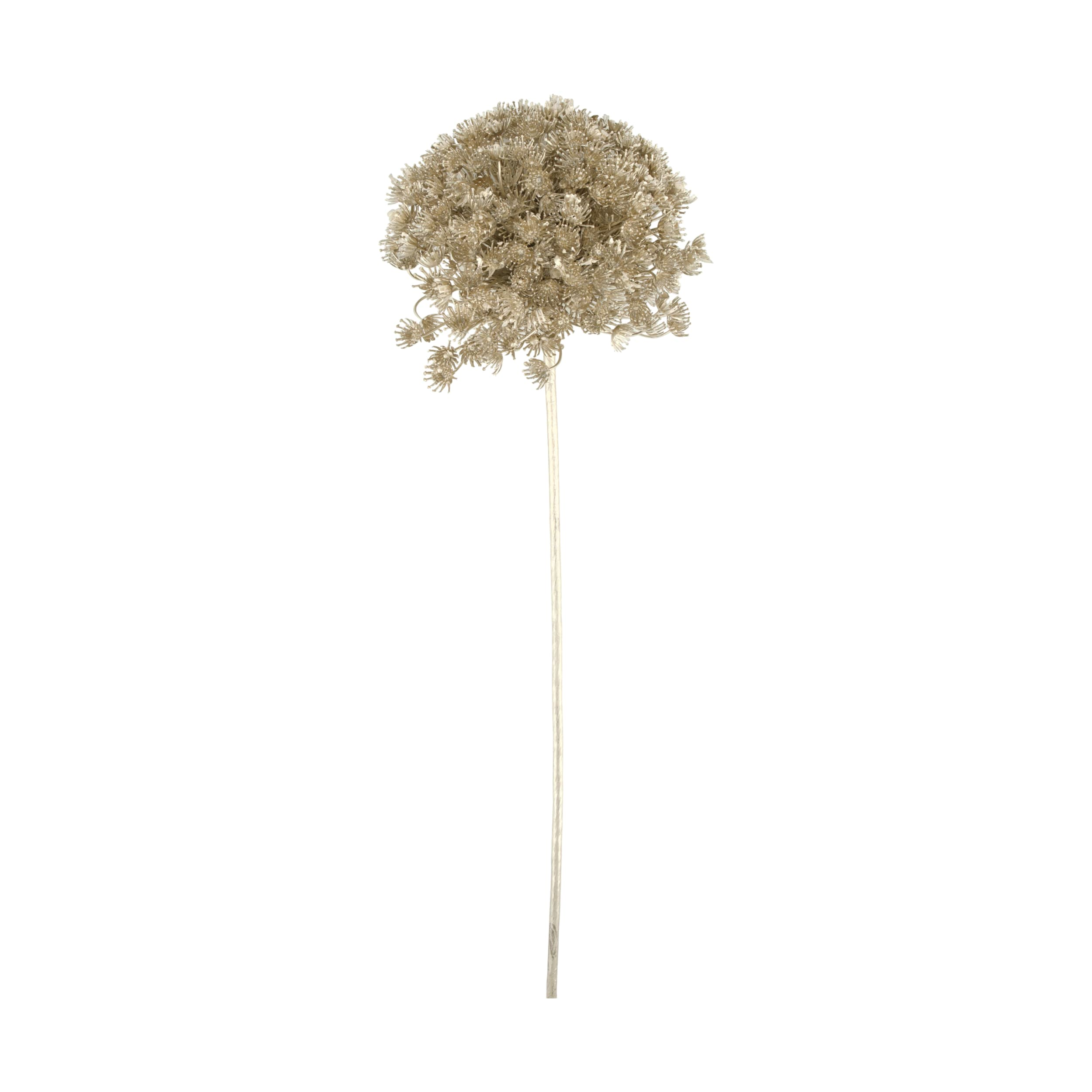 Kunstblumen Zweig Apium H: 72 cm Decofinder