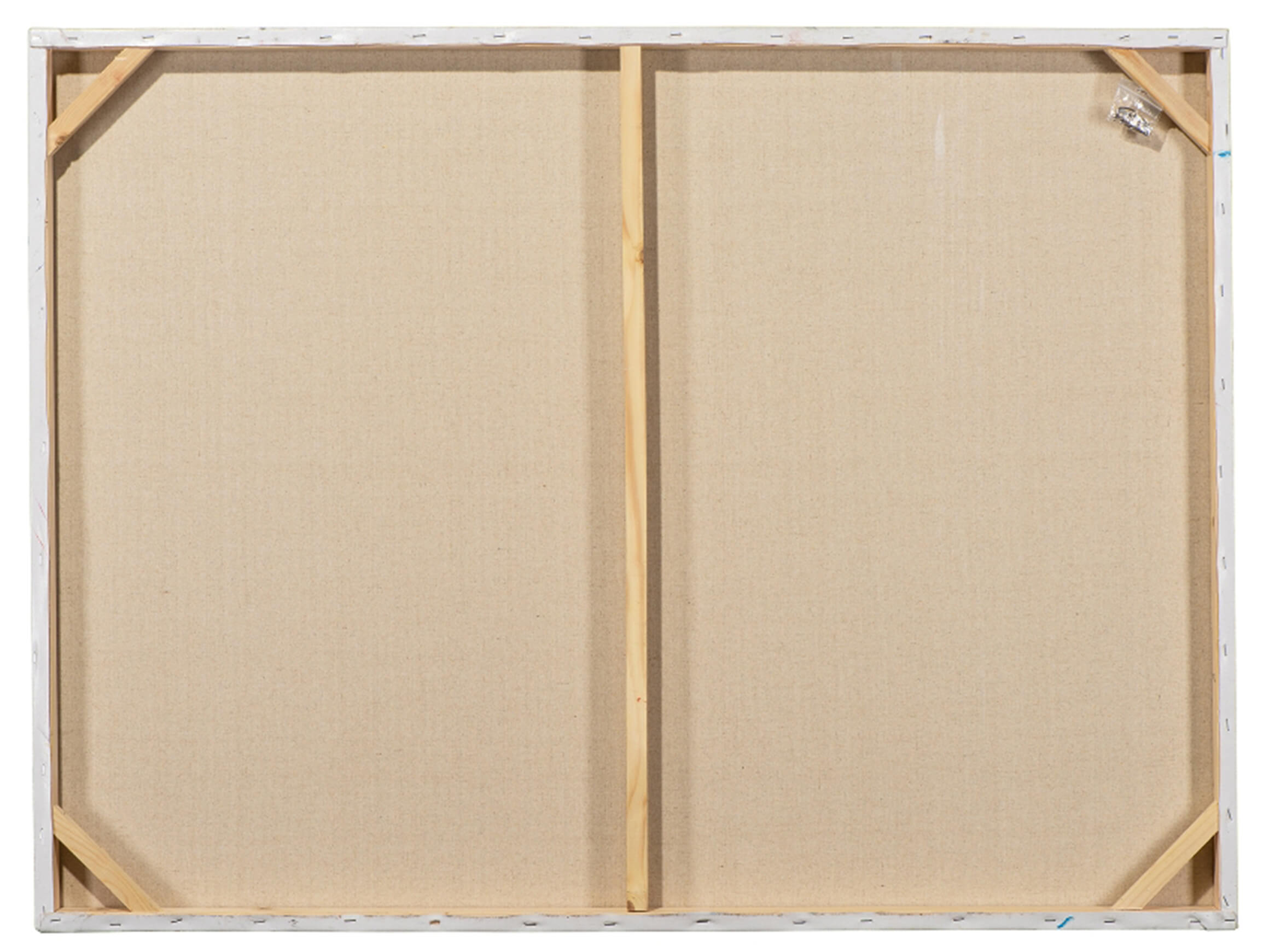 Bild Blühender Baum mit Hochglanz 2 image LAND