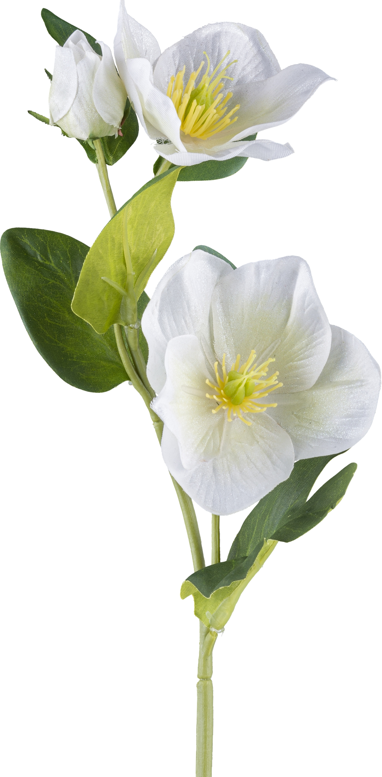 Artificial flowers Christmas rose Geeist, white H: 36 cm Gasper