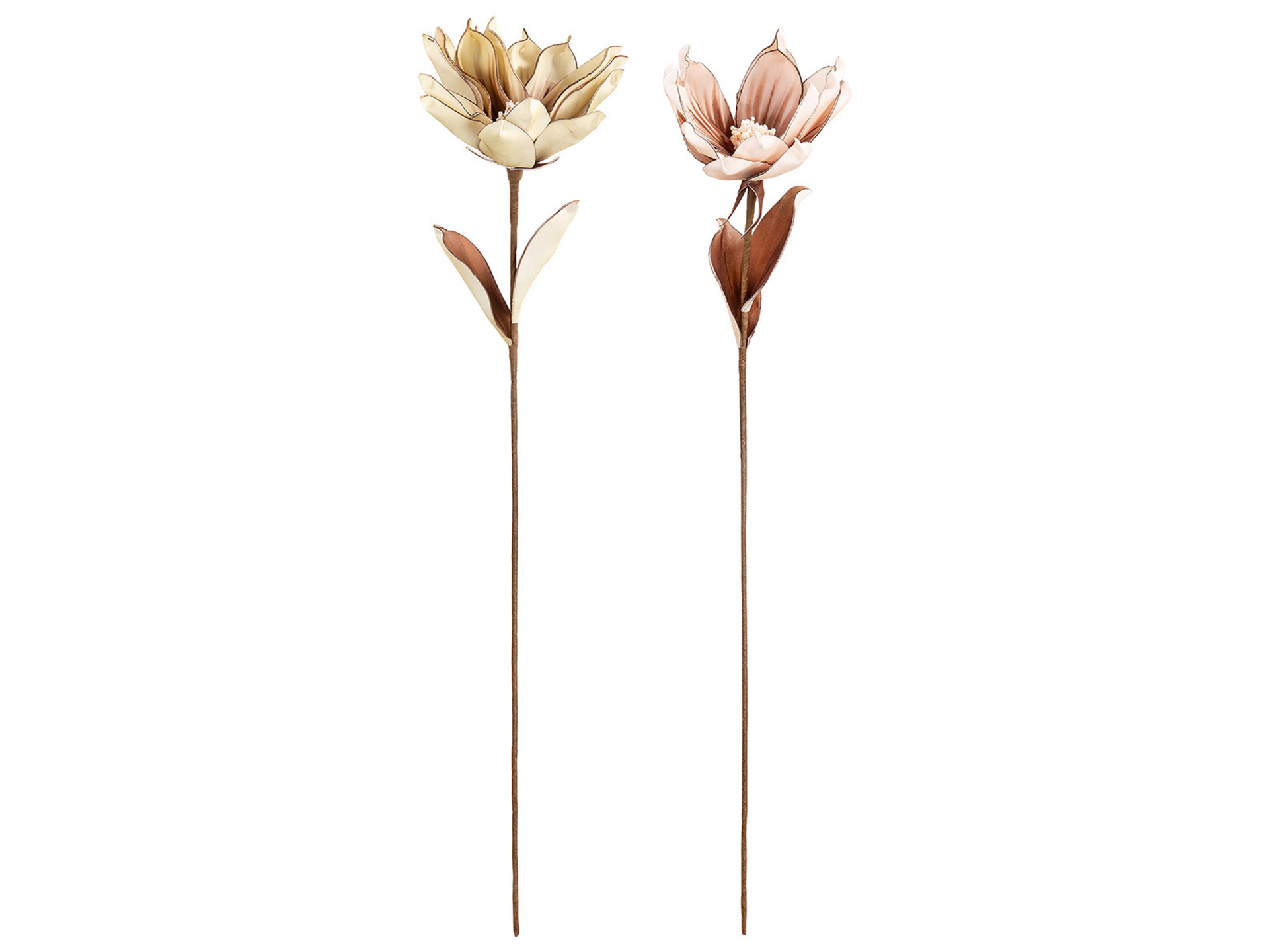 Kunstblumen Blüte, Creme-Grün H: 80 cm Gilde Kunstblumen Blüte, Creme-Grün H: 80 cm Gilde